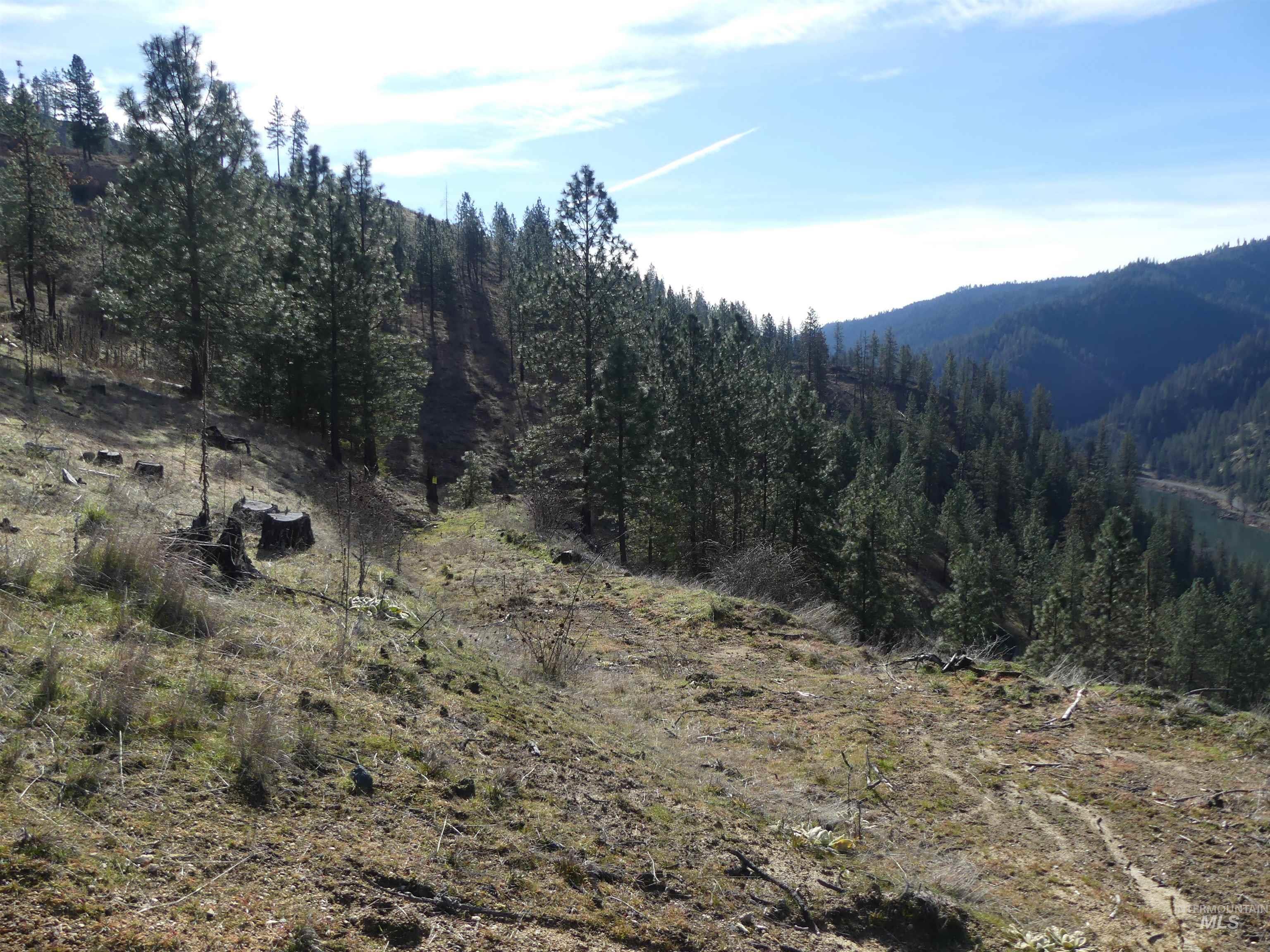 1404 Carrot Ridge Road, Greer, Idaho 83536-0000, Land For Sale, Price $245,000, 98983298