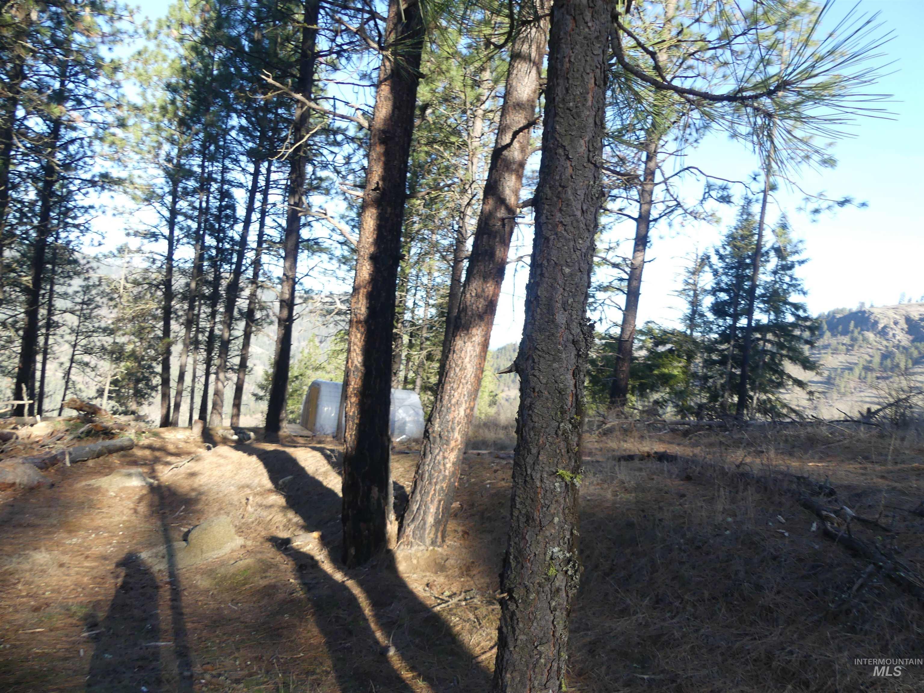 1404 Carrot Ridge Road, Greer, Idaho 83536-0000, Land For Sale, Price $245,000, 98983298