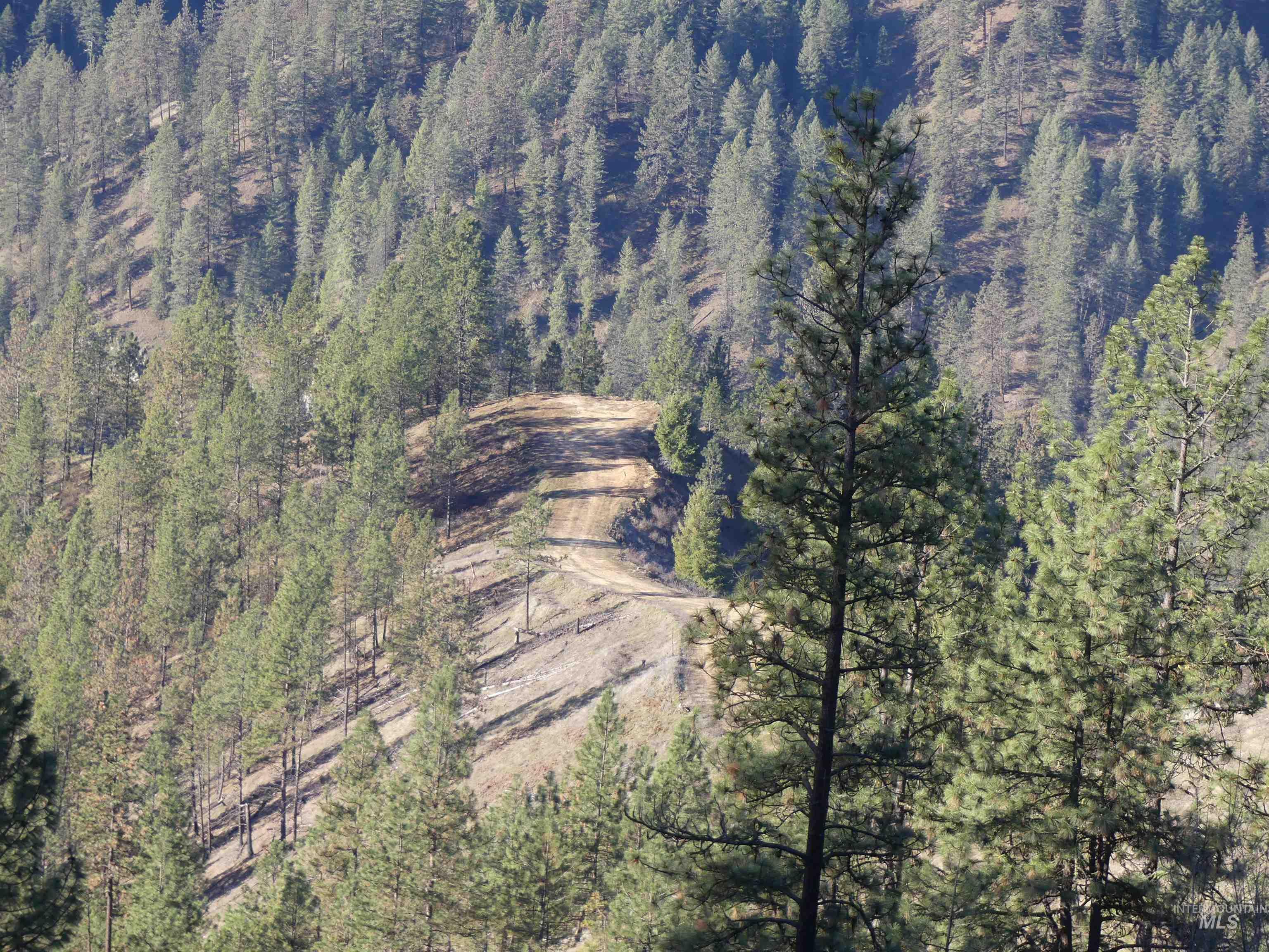 1404 Carrot Ridge Road, Greer, Idaho 83536-0000, Land For Sale, Price $245,000, 98983298