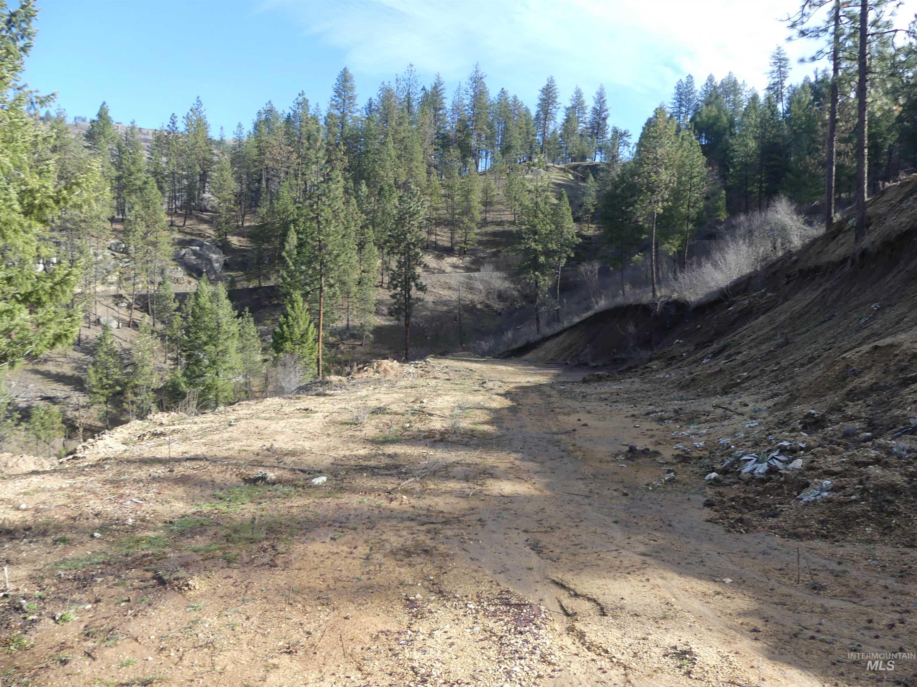 1404 Carrot Ridge Road, Greer, Idaho 83536-0000, Land For Sale, Price $245,000, 98983298