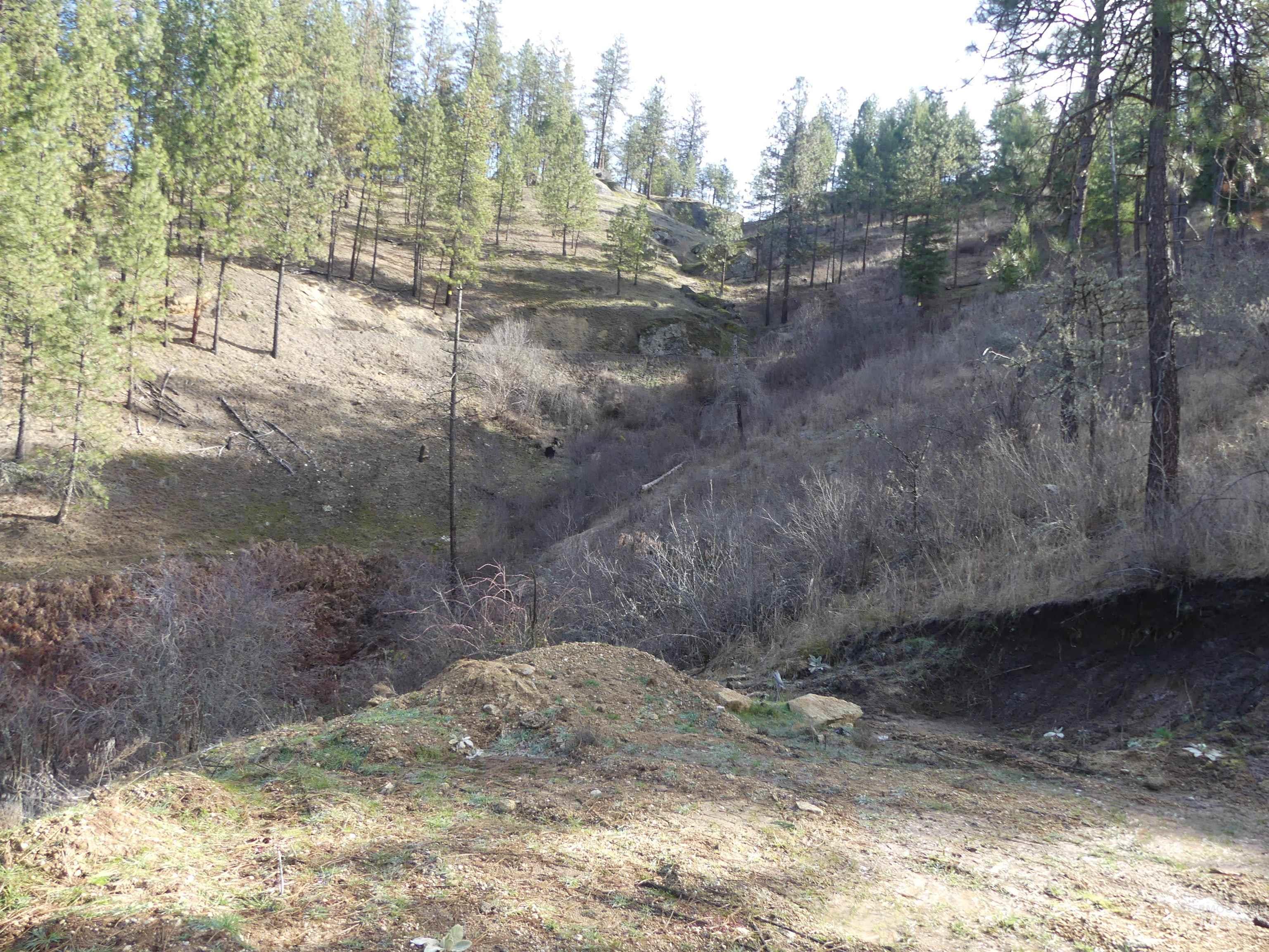 1404 Carrot Ridge Road, Greer, Idaho 83536-0000, Land For Sale, Price $245,000, 98983298