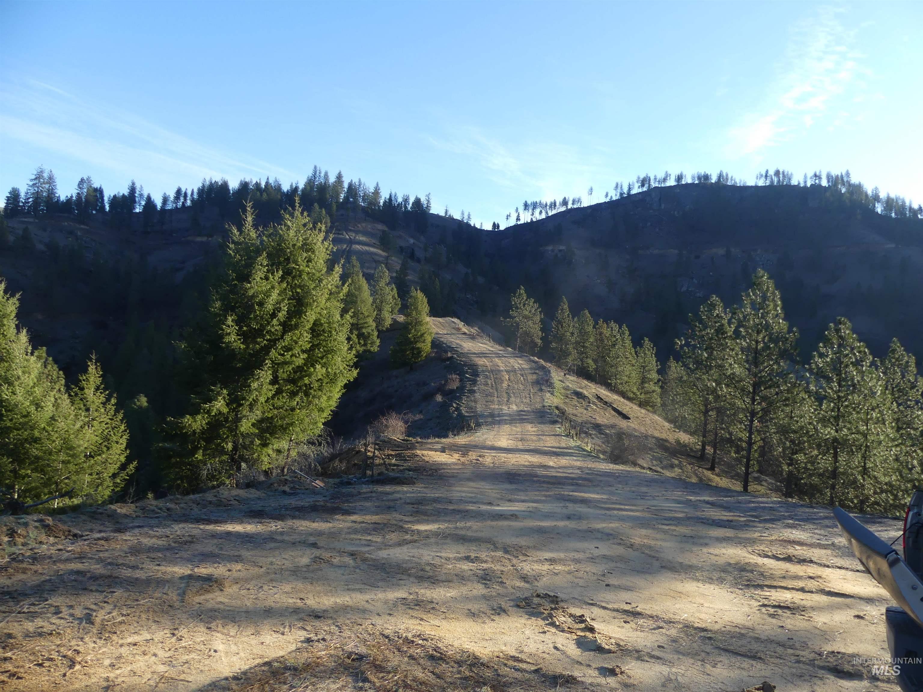 1404 Carrot Ridge Road, Greer, Idaho 83536-0000, Land For Sale, Price $245,000, 98983298