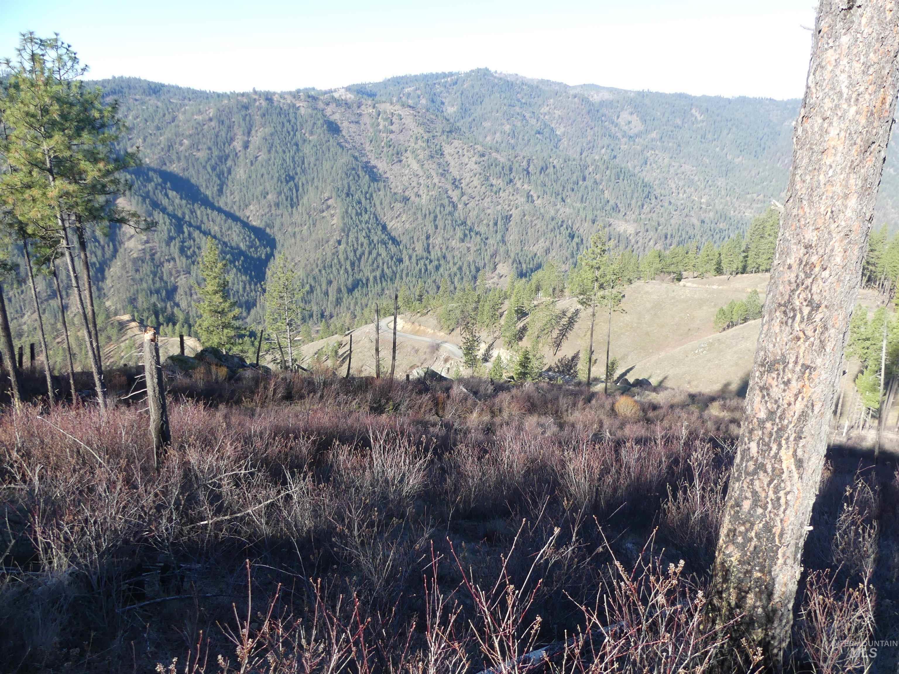 1404 Carrot Ridge Road, Greer, Idaho 83536-0000, Land For Sale, Price $245,000, 98983298