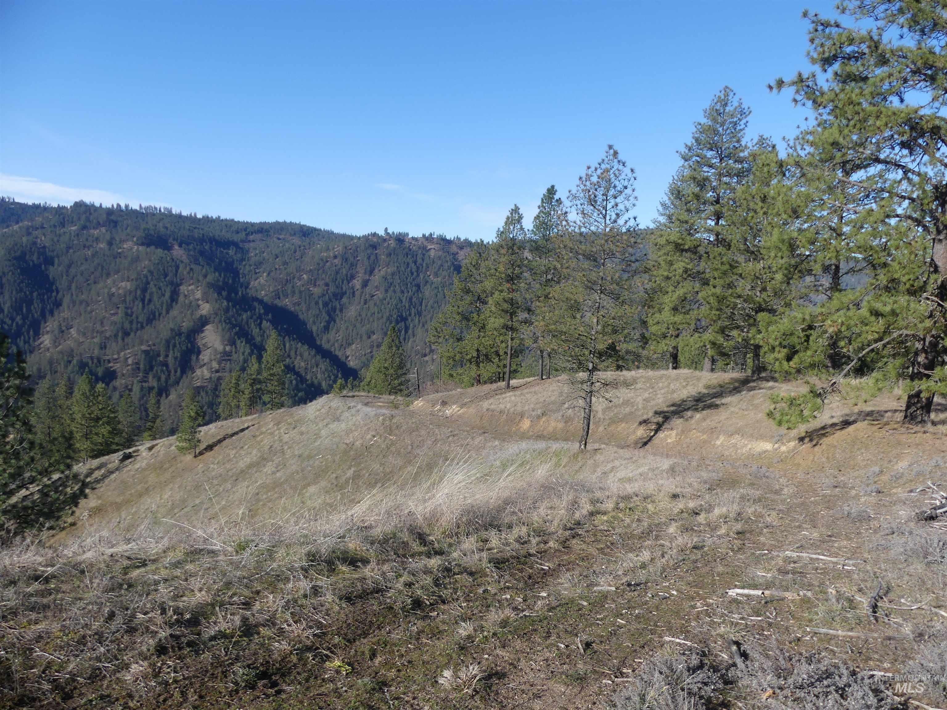 1404 Carrot Ridge Road, Greer, Idaho 83536-0000, Land For Sale, Price $245,000, 98983298