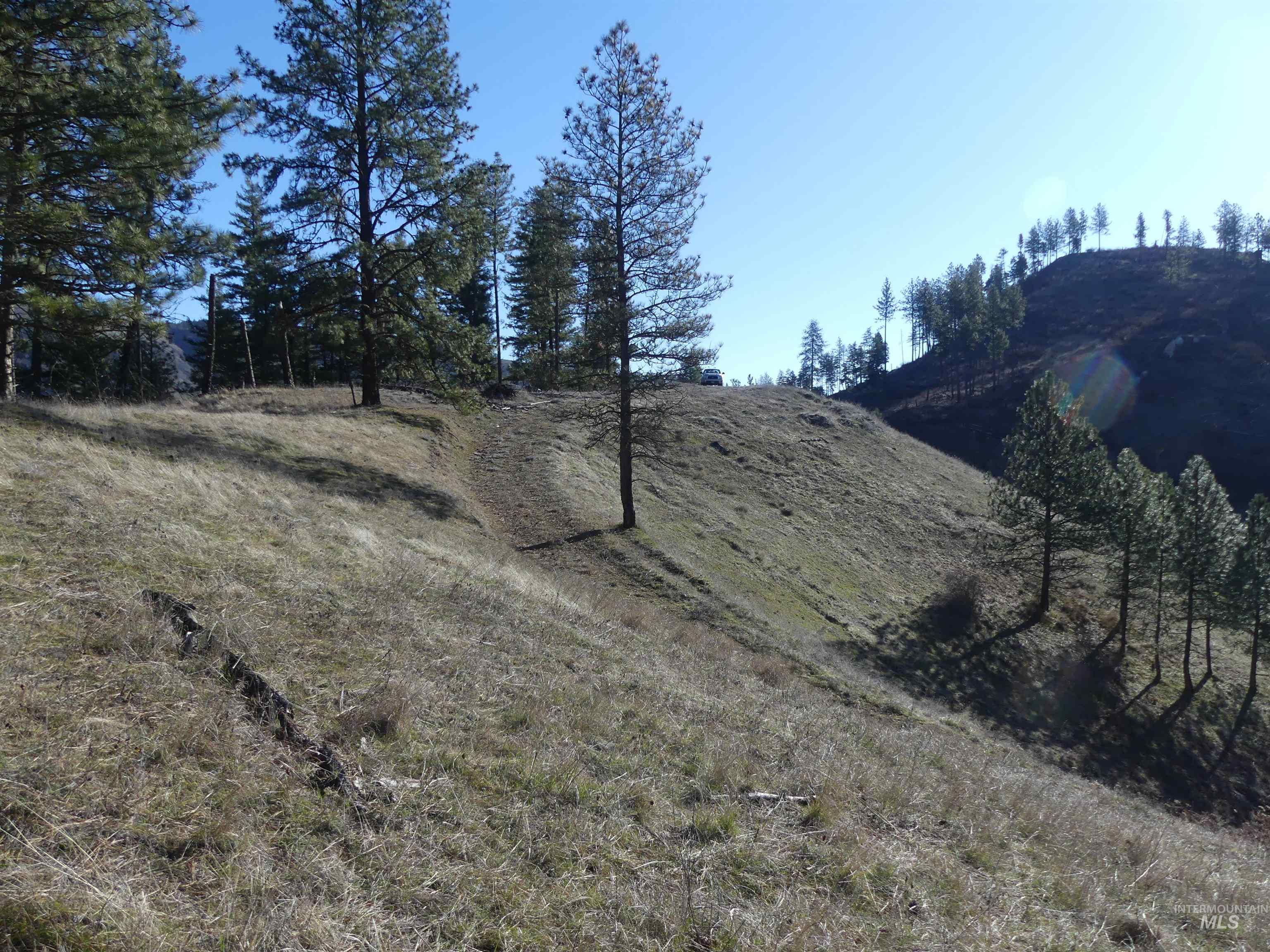 1404 Carrot Ridge Road, Greer, Idaho 83536-0000, Land For Sale, Price $245,000, 98983298