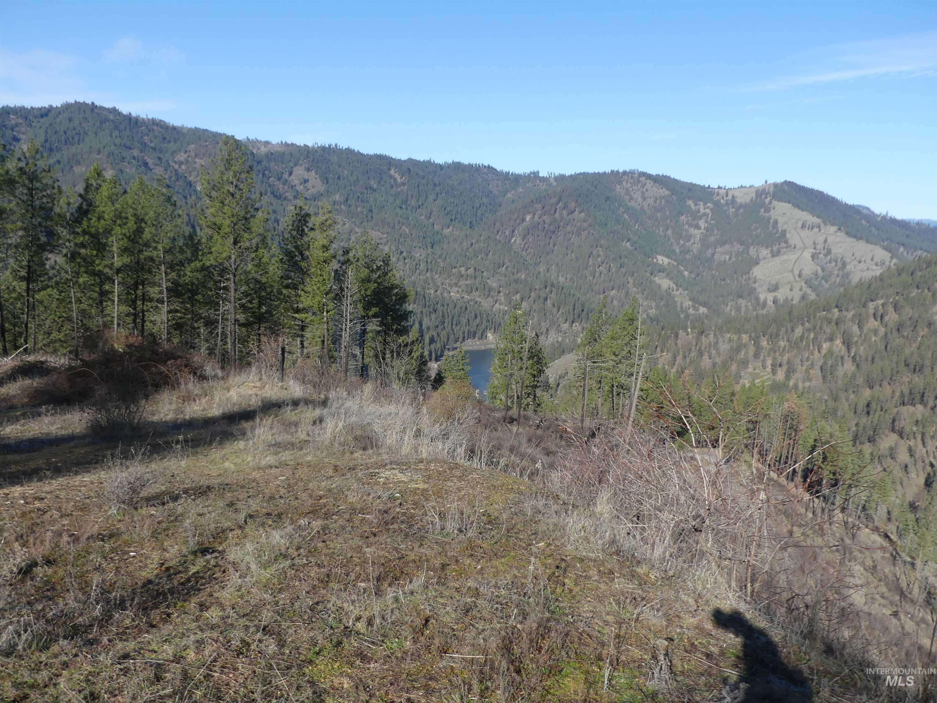 1404 Carrot Ridge Road, Greer, Idaho 83536-0000, Land For Sale, Price $245,000, 98983298