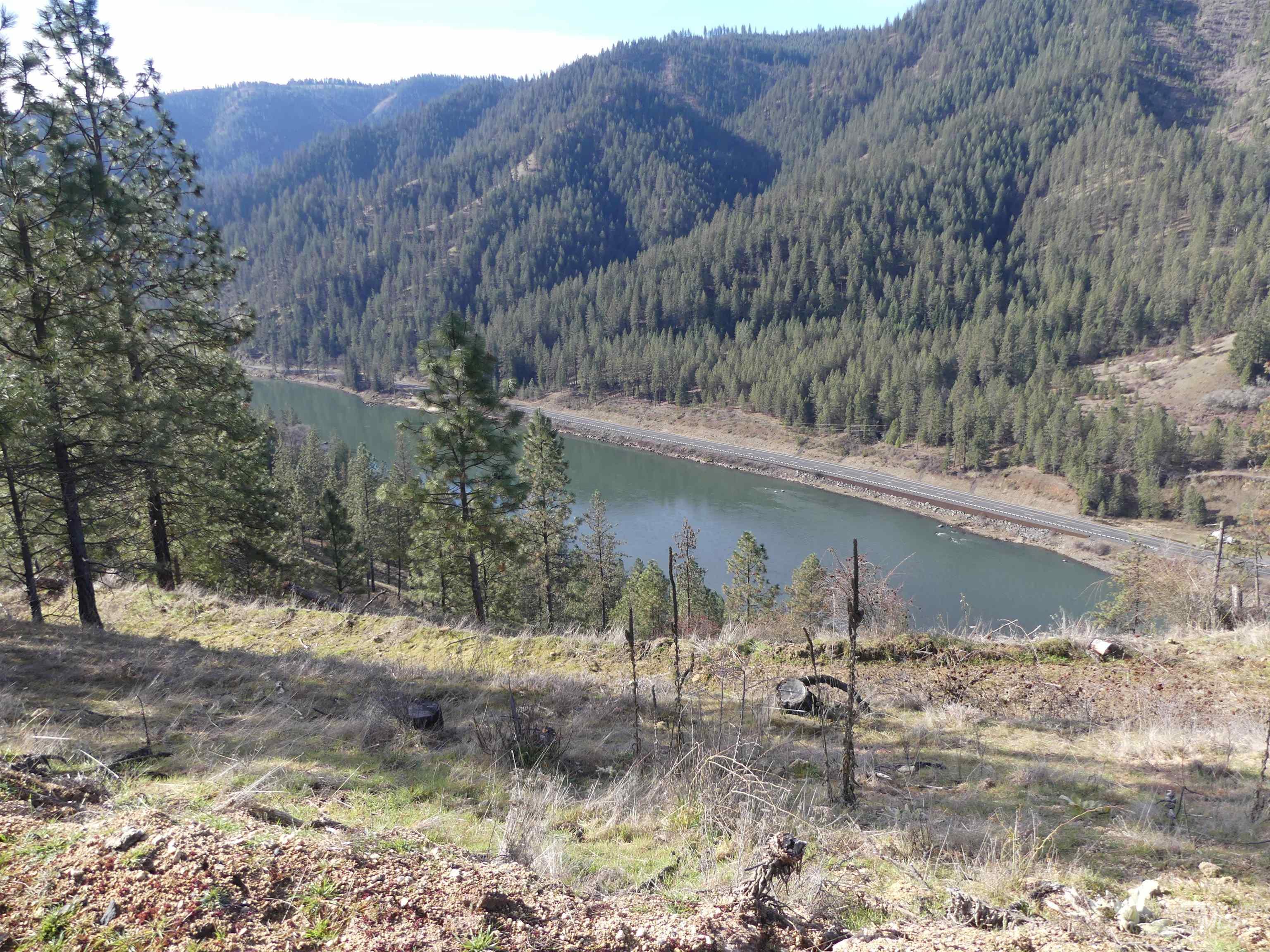 1404 Carrot Ridge Road, Greer, Idaho 83536-0000, Land For Sale, Price $245,000, 98983298