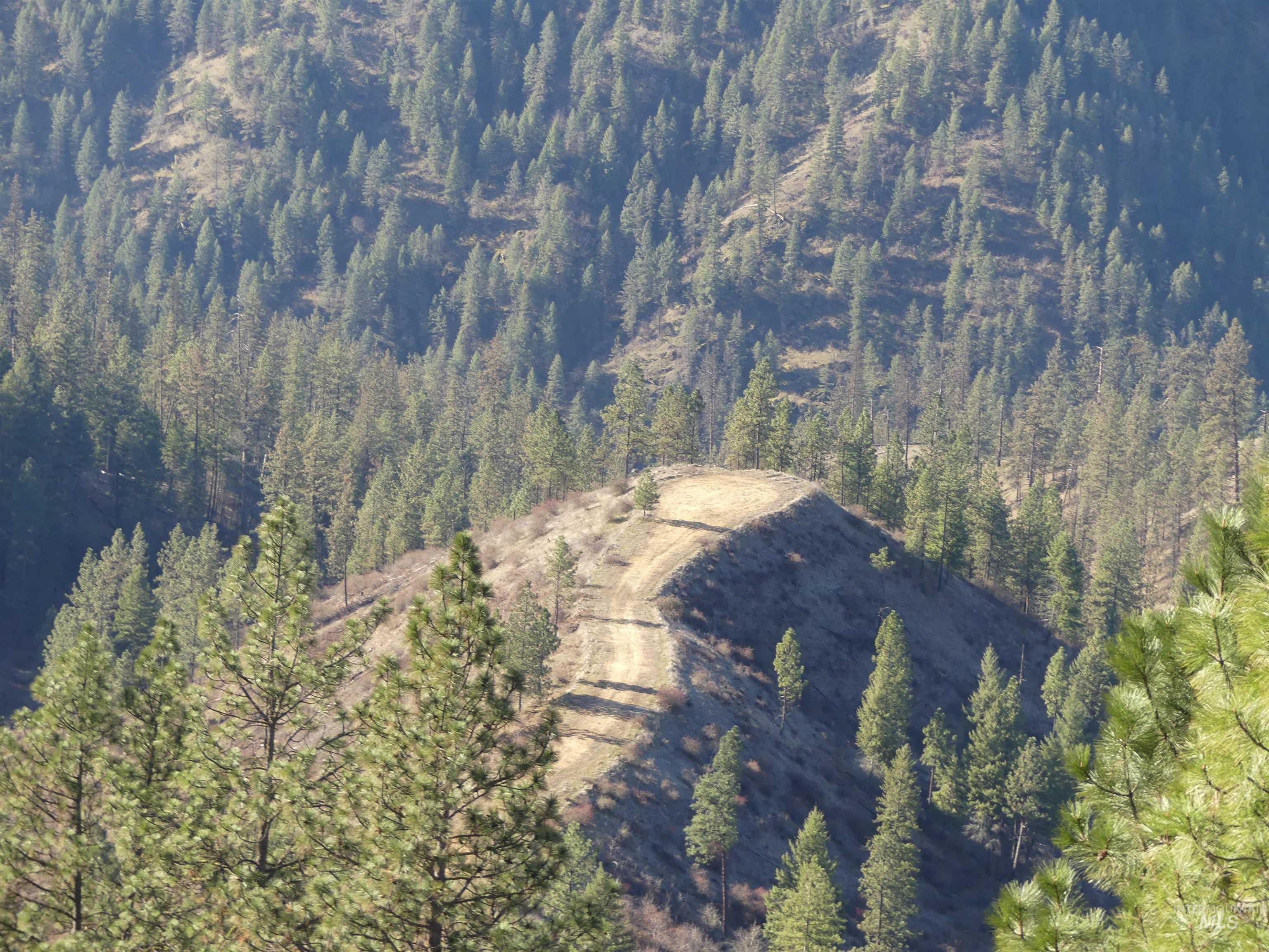 1404 Carrot Ridge Road, Greer, Idaho 83536-0000, Land For Sale, Price $245,000, 98983298