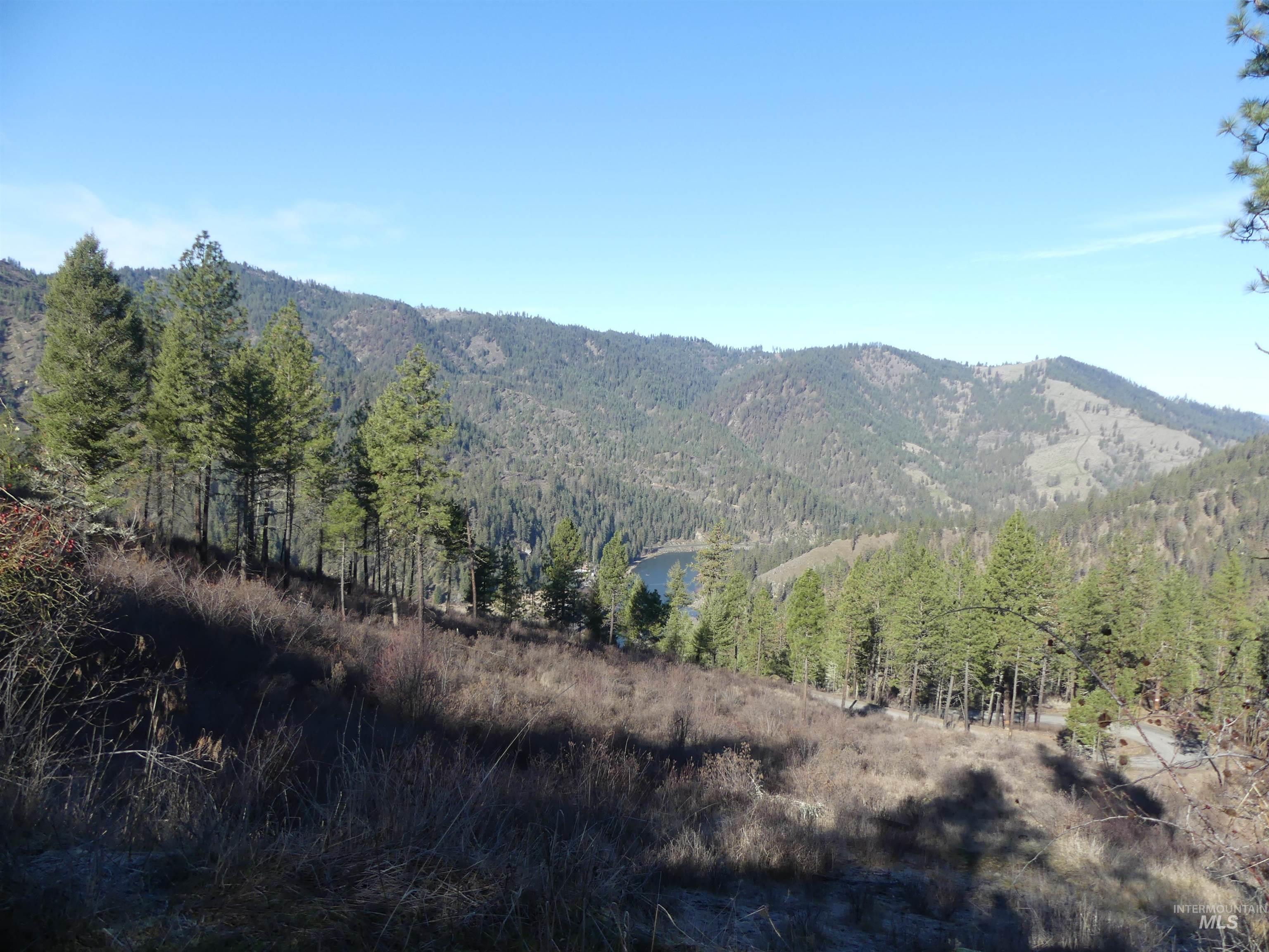 1404 Carrot Ridge Road, Greer, Idaho 83536-0000, Land For Sale, Price $245,000, 98983298