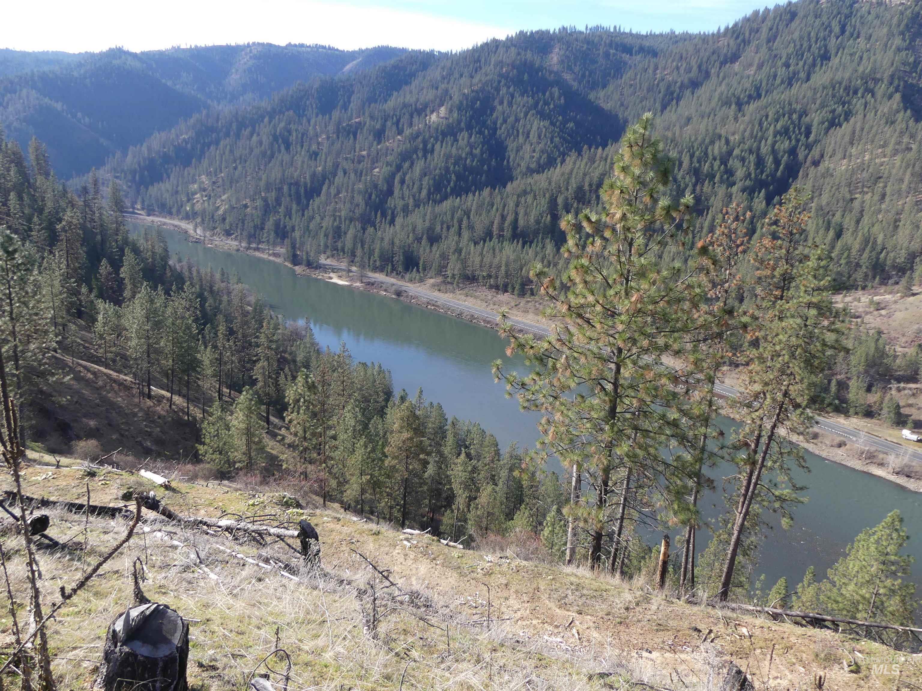 1404 Carrot Ridge Road, Greer, Idaho 83536-0000, Land For Sale, Price $245,000, 98983298