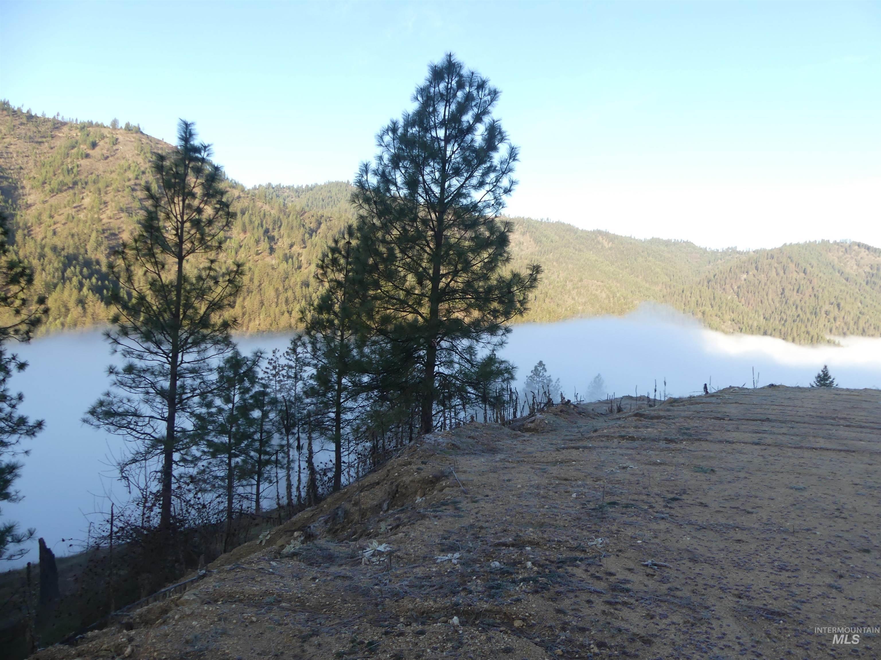 1404 Carrot Ridge Road, Greer, Idaho 83536-0000, Land For Sale, Price $245,000, 98983298
