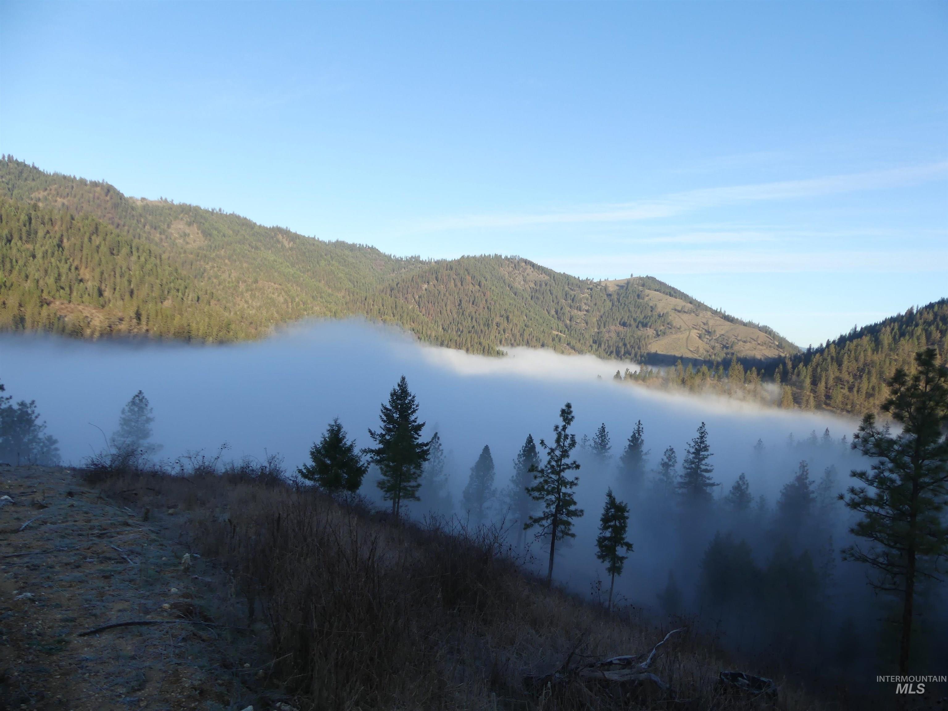 1404 Carrot Ridge Road, Greer, Idaho 83536-0000, Land For Sale, Price $245,000, 98983298