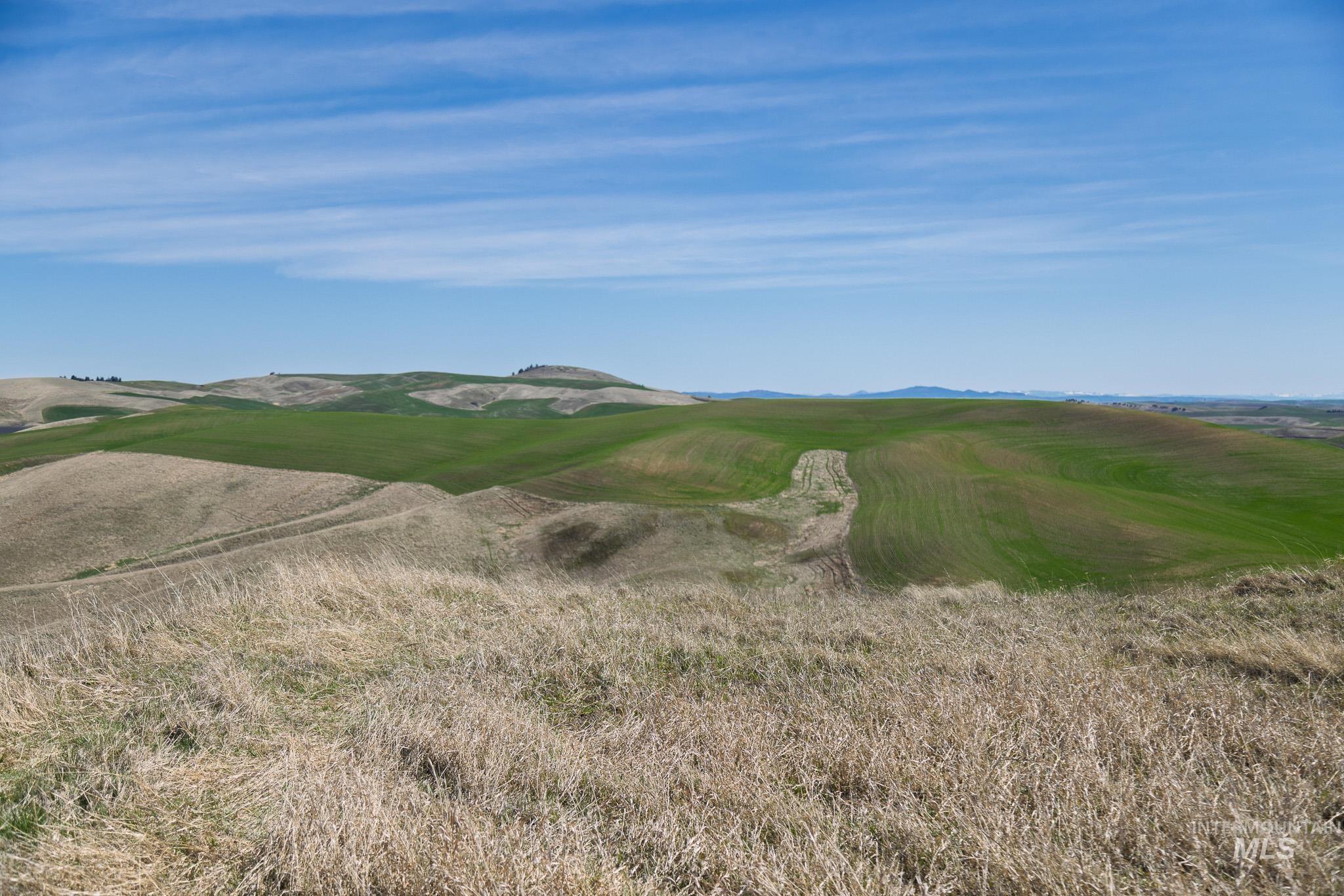 NKA Jacksha, Moscow, Idaho 83843, Land For Sale, Price $295,000, 98983303