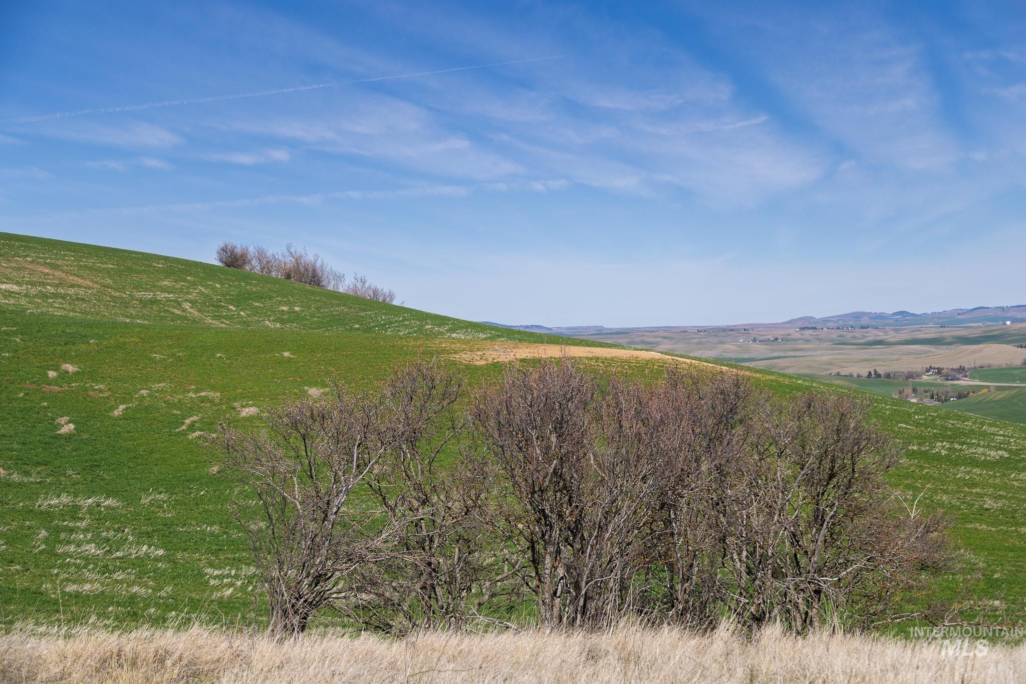NKA Jacksha, Moscow, Idaho 83843, Land For Sale, Price $295,000, 98983303