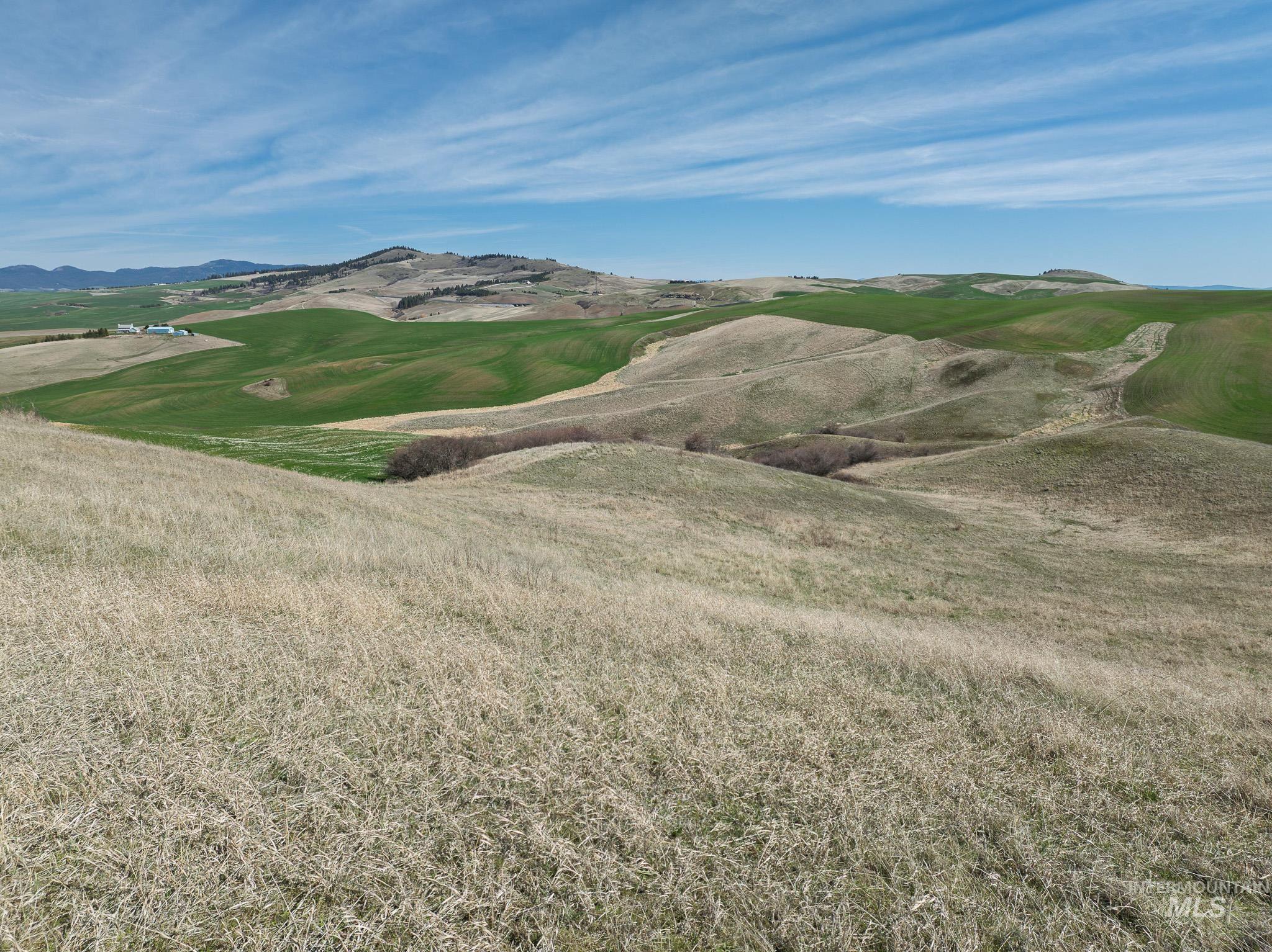 NKA Jacksha, Moscow, Idaho 83843, Land For Sale, Price $295,000, 98983303