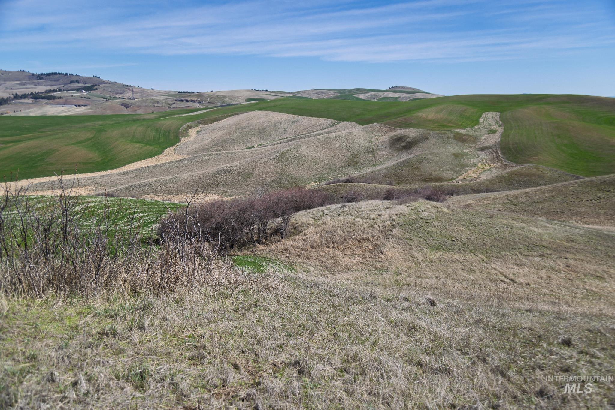 NKA Jacksha, Moscow, Idaho 83843, Land For Sale, Price $295,000, 98983303