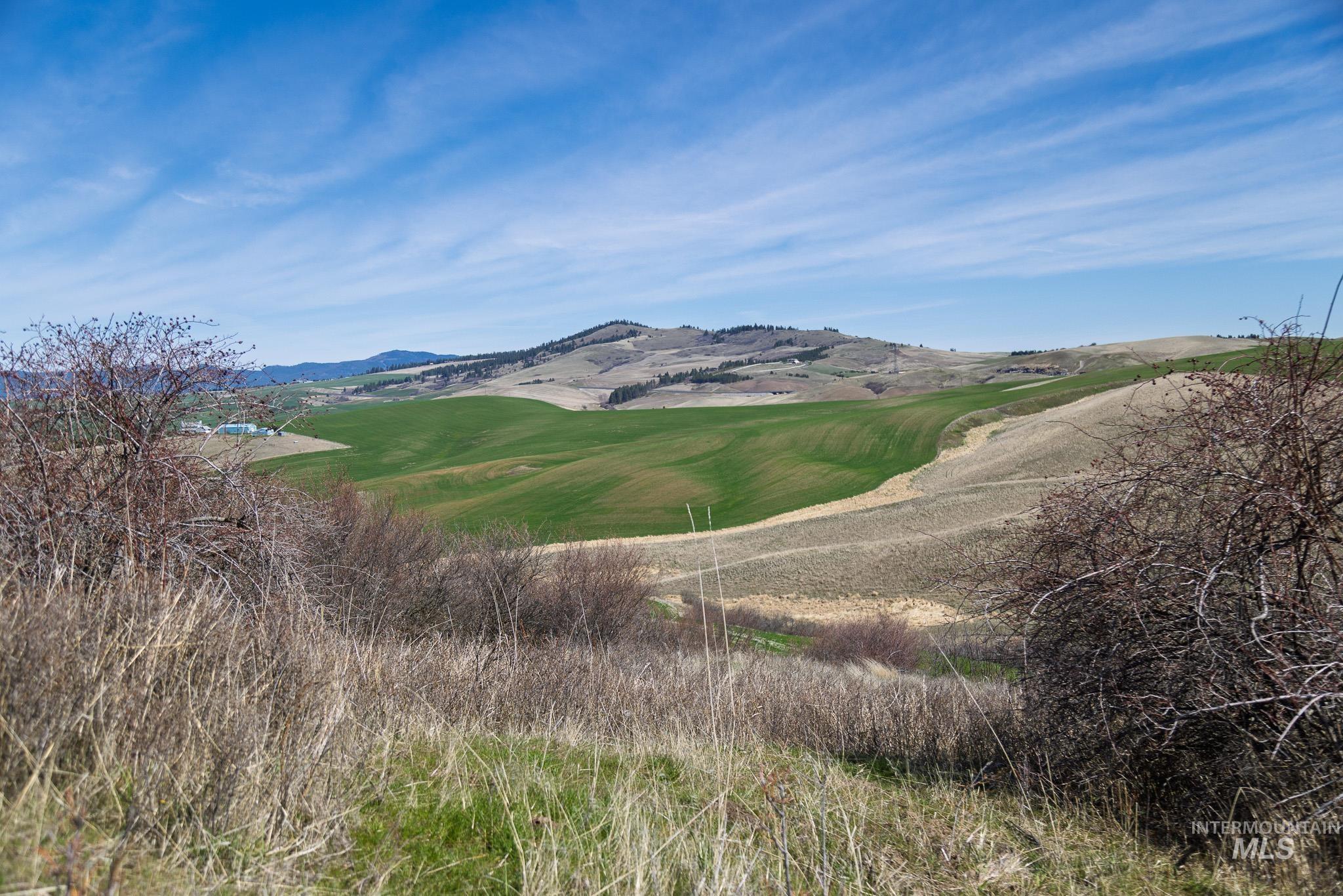 NKA Jacksha, Moscow, Idaho 83843, Land For Sale, Price $295,000, 98983303