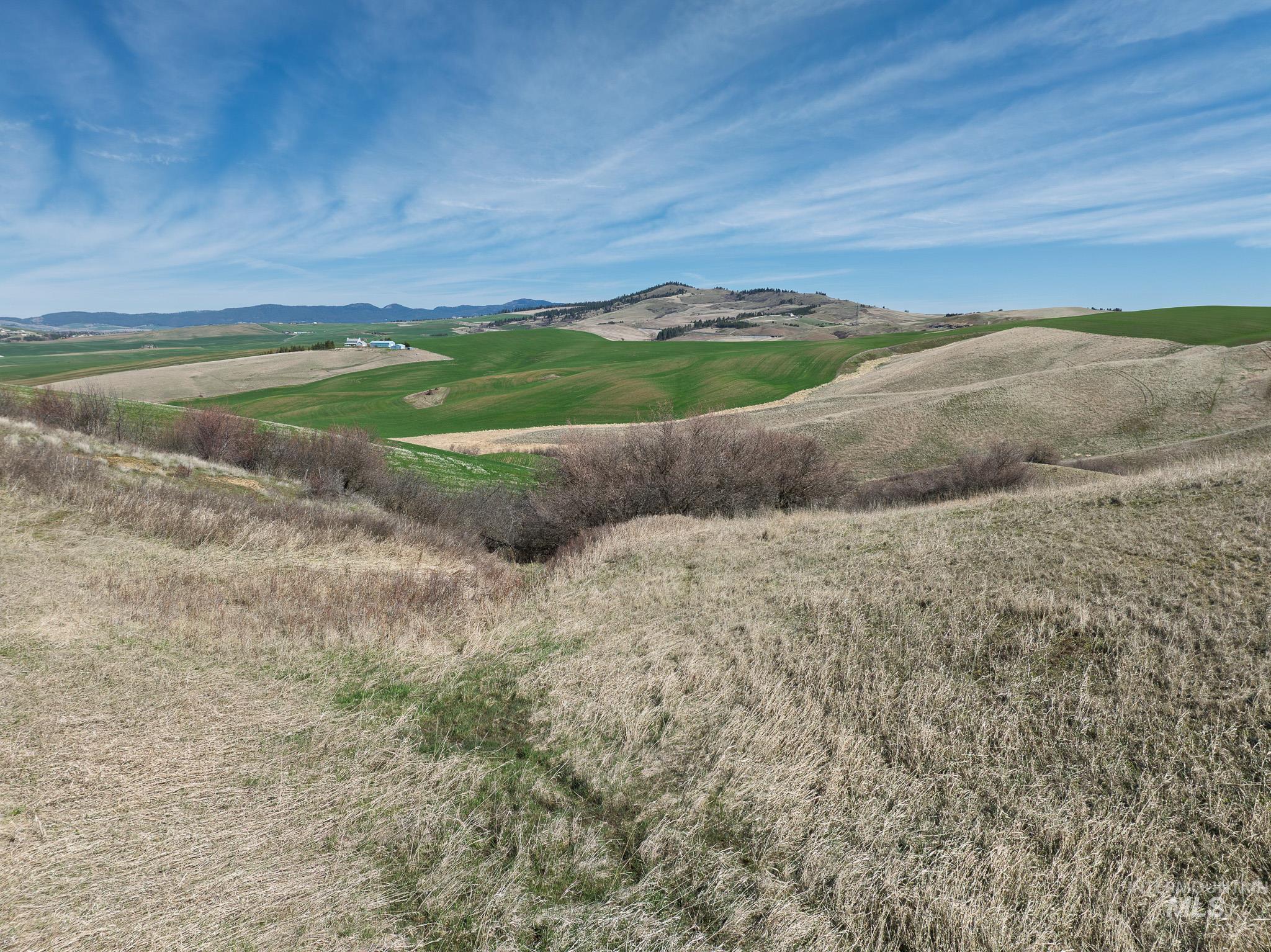 NKA Jacksha, Moscow, Idaho 83843, Land For Sale, Price $295,000, 98983303