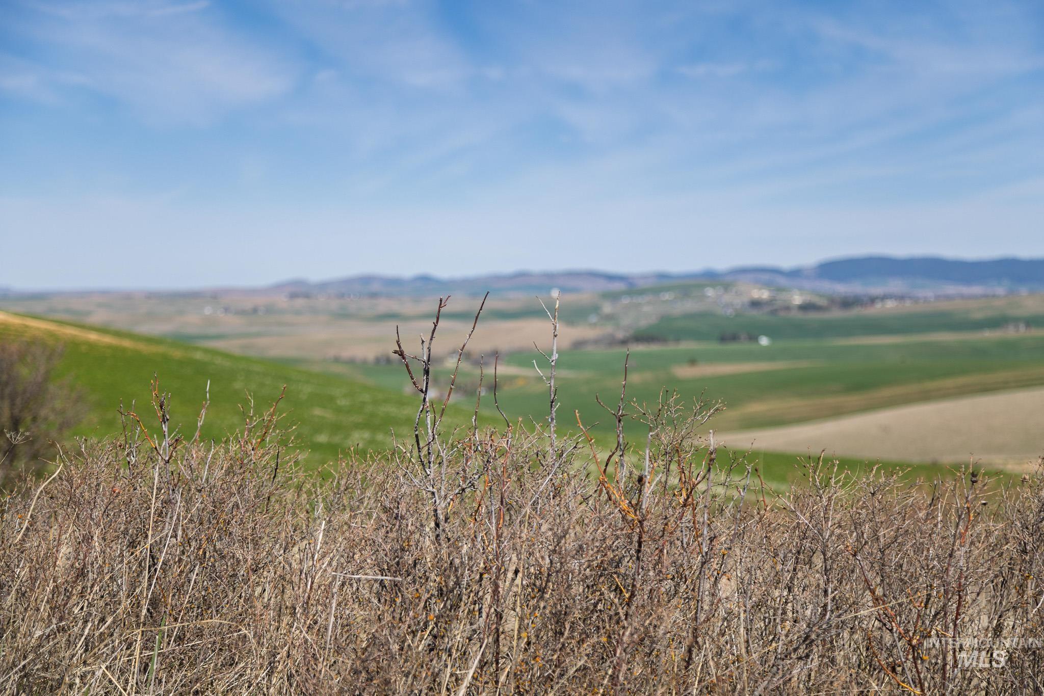 NKA Jacksha, Moscow, Idaho 83843, Land For Sale, Price $295,000, 98983303