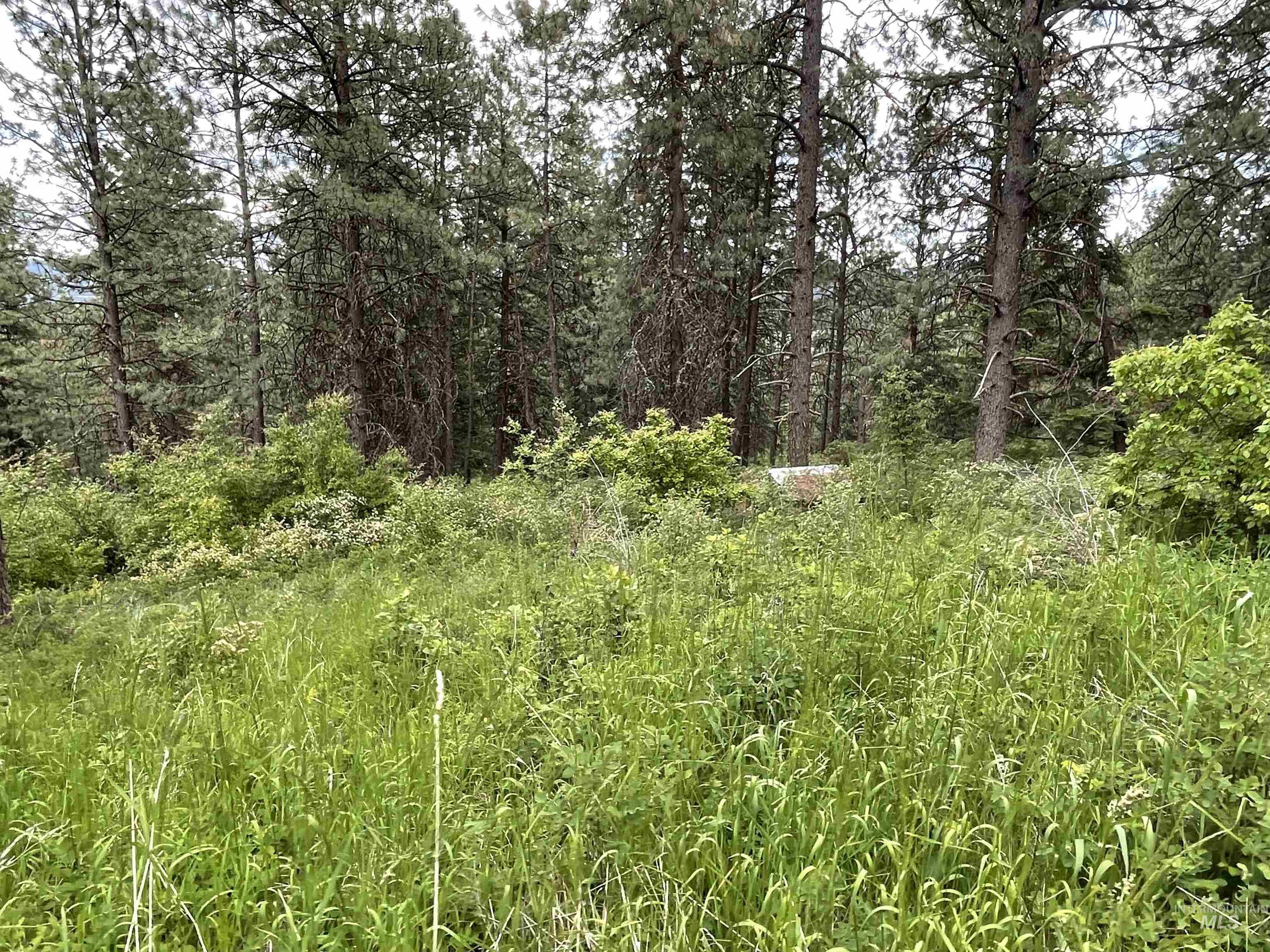 1221 Shady Lane, De Smet, Idaho 83824, Land For Sale, Price $90,000,MLS 98983310