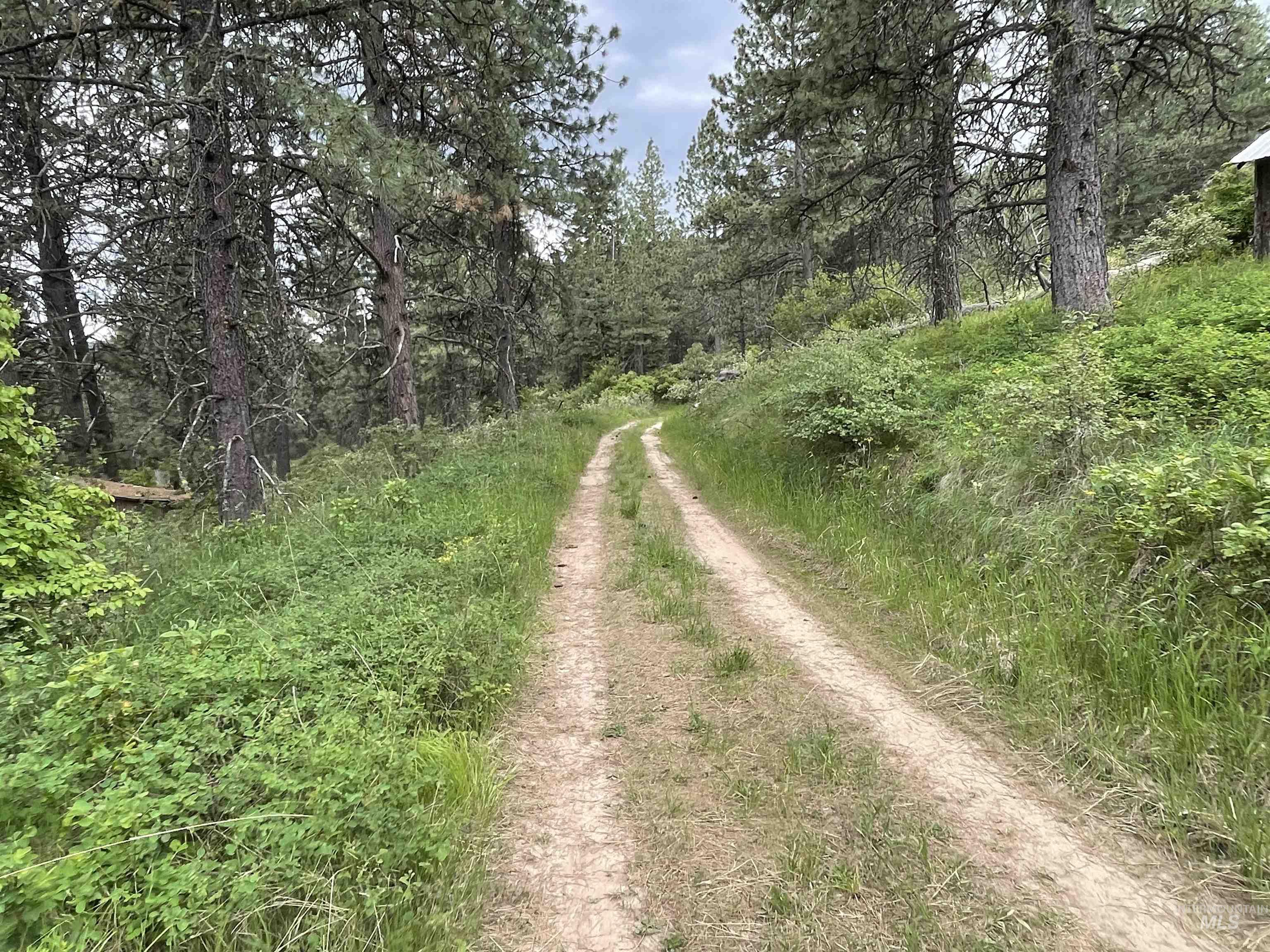 1221 Shady Lane, De Smet, Idaho 83824, Land For Sale, Price $90,000,MLS 98983310