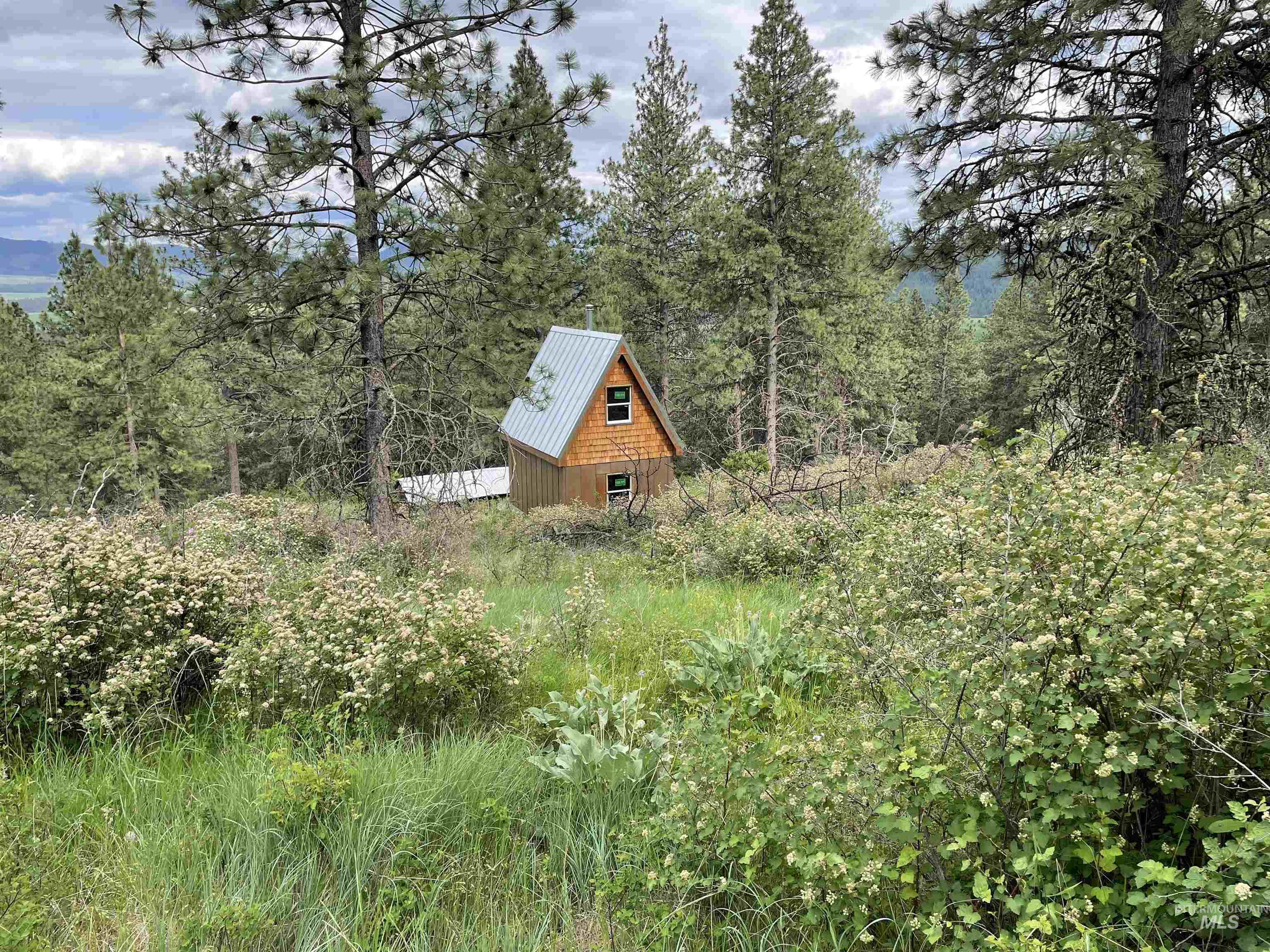 1221 Shady Lane, De Smet, Idaho 83824, Land For Sale, Price $90,000,MLS 98983310