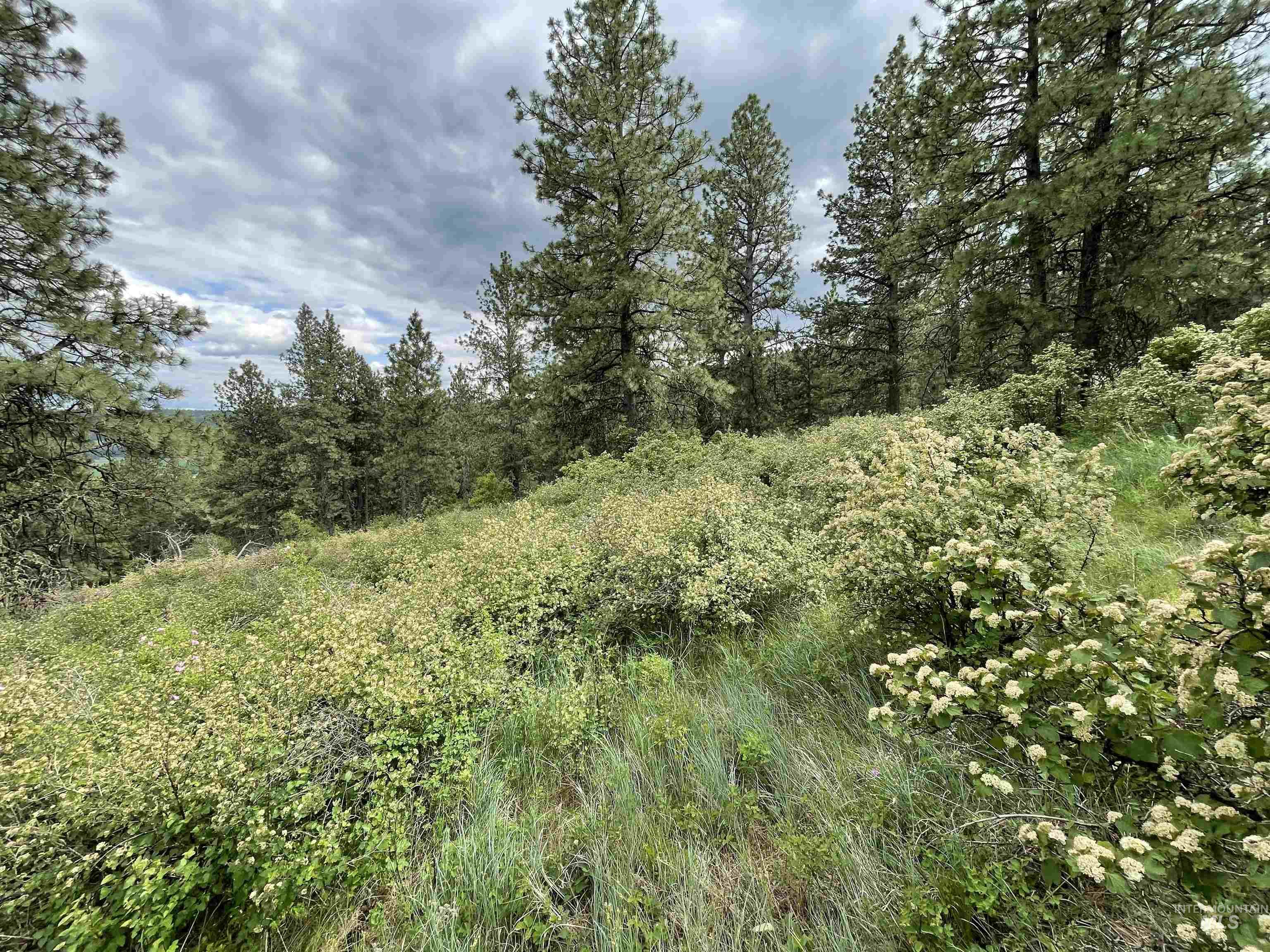 1221 Shady Lane, De Smet, Idaho 83824, Land For Sale, Price $90,000,MLS 98983310