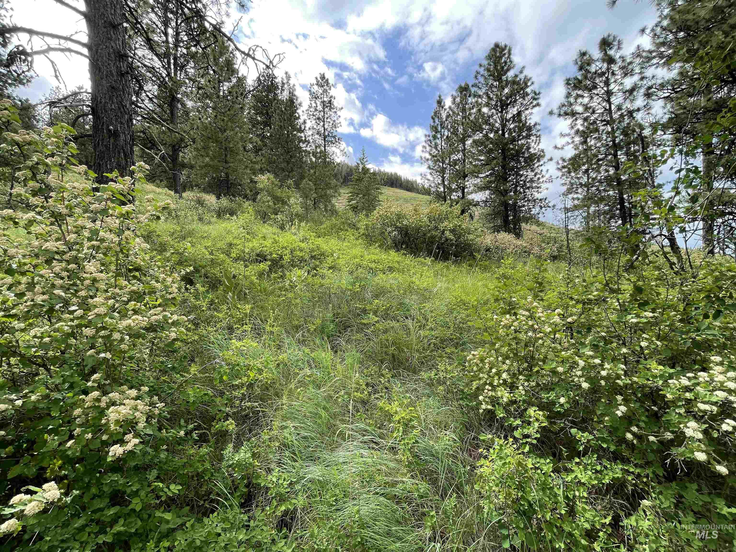1221 Shady Lane, De Smet, Idaho 83824, Land For Sale, Price $90,000,MLS 98983310
