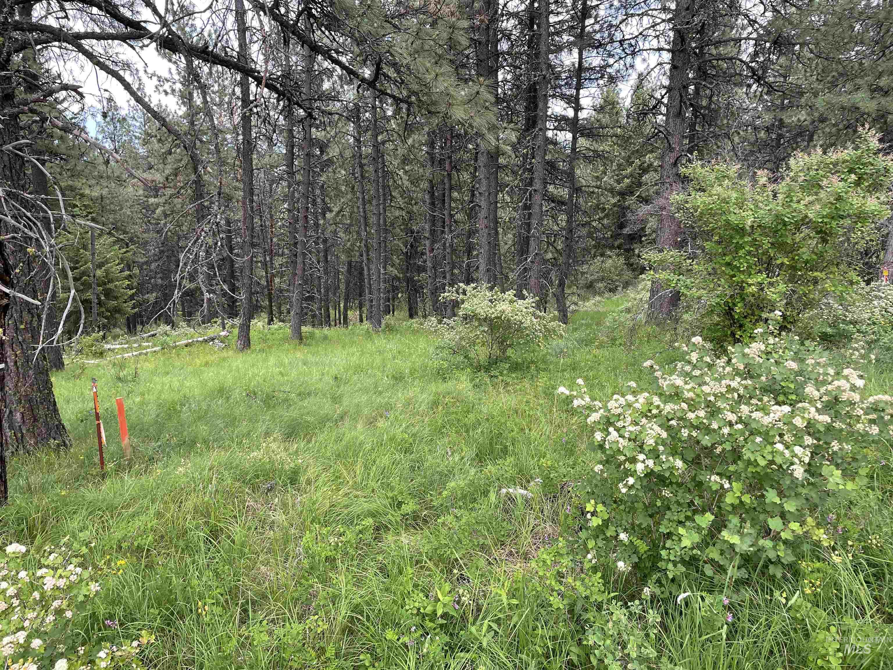 1221 Shady Lane, De Smet, Idaho 83824, Land For Sale, Price $90,000,MLS 98983310