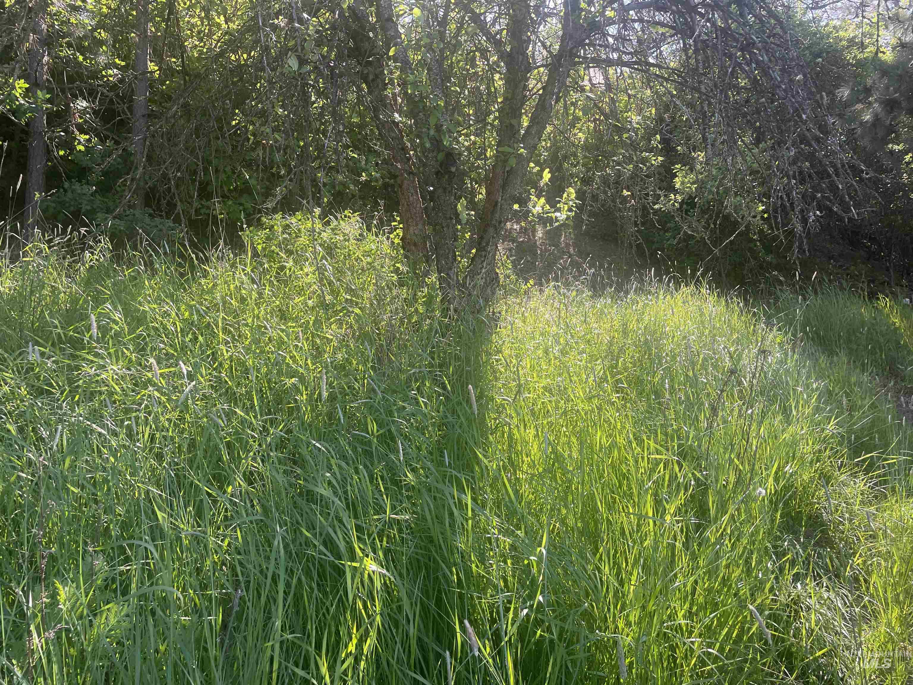 1221 Shady Lane, De Smet, Idaho 83824, Land For Sale, Price $90,000,MLS 98983310