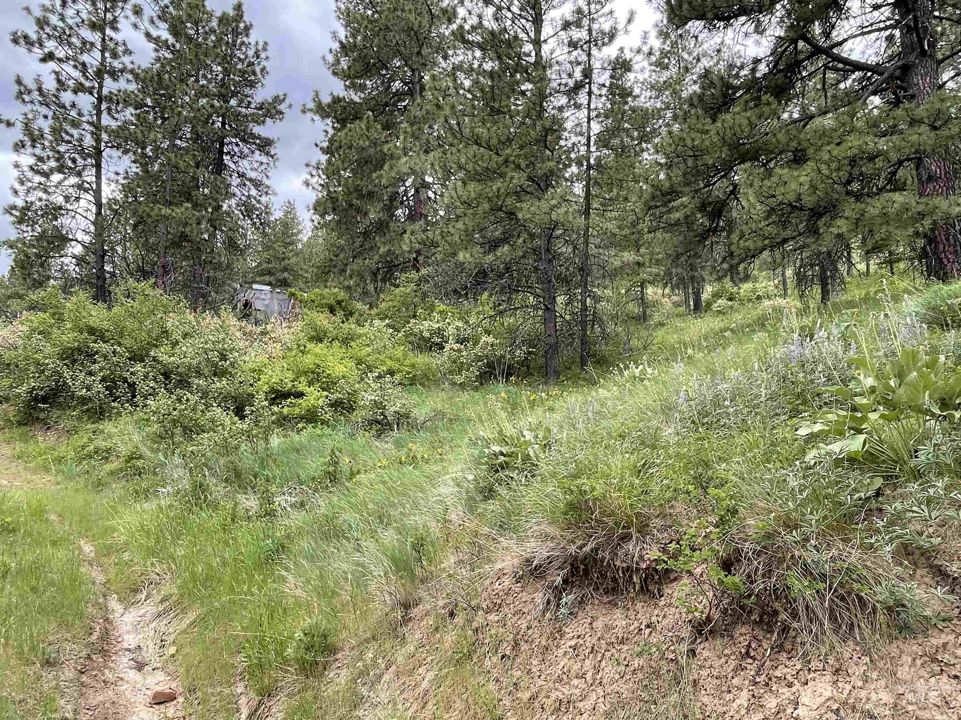 1221 Shady Lane, De Smet, Idaho 83824, Land For Sale, Price $90,000,MLS 98983310
