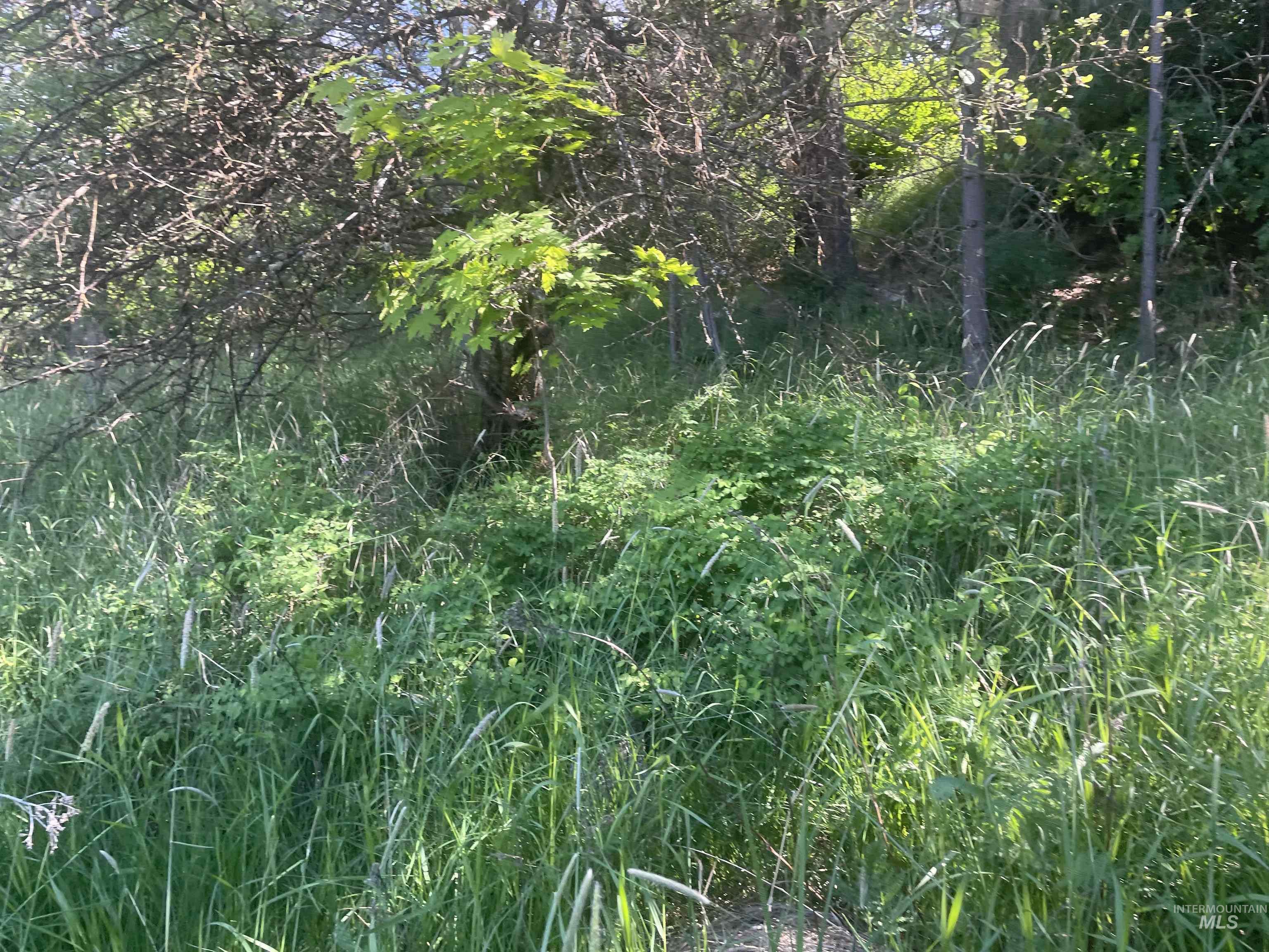 1221 Shady Lane, De Smet, Idaho 83824, Land For Sale, Price $90,000,MLS 98983310