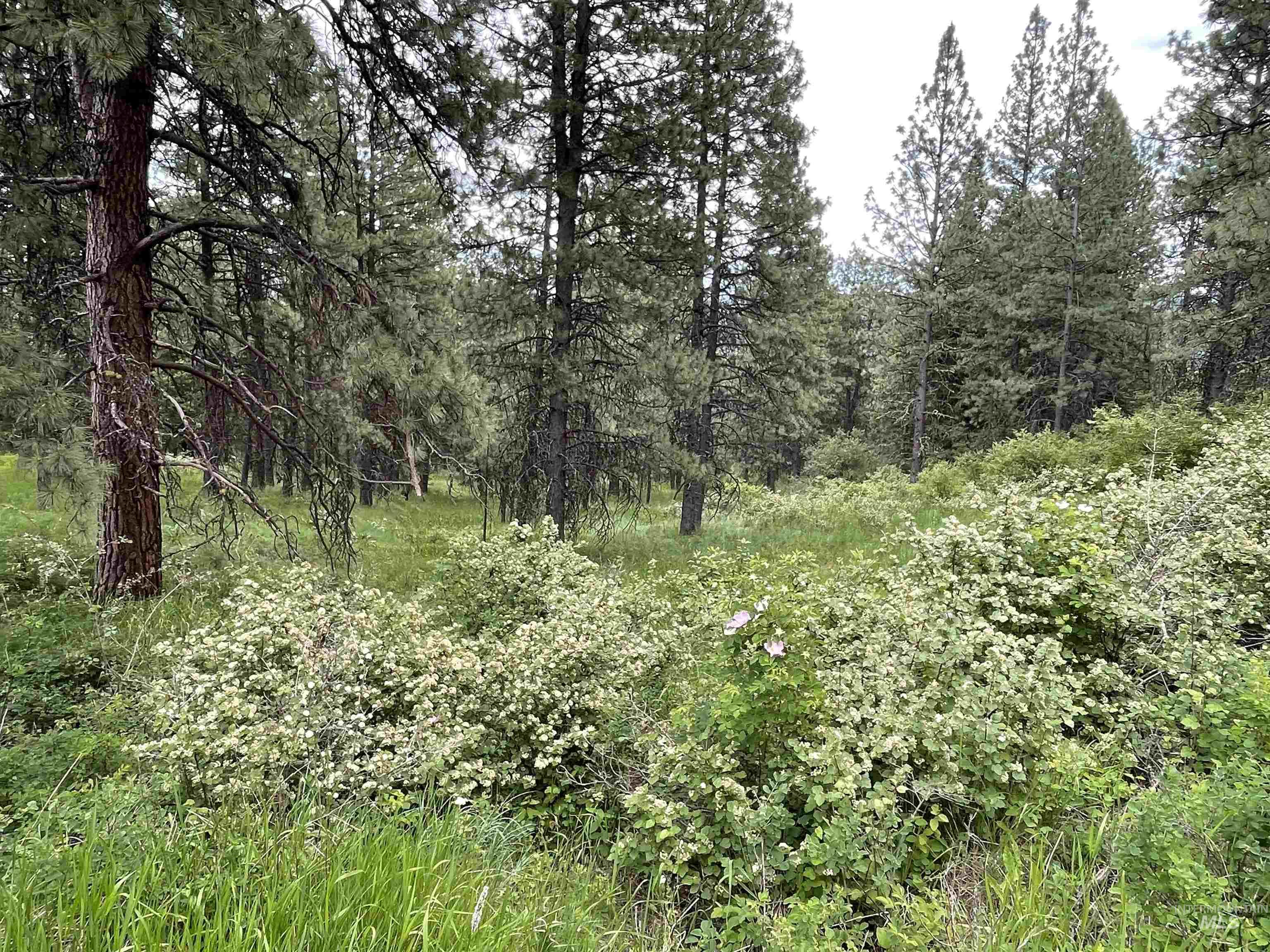 1221 Shady Lane, De Smet, Idaho 83824, Land For Sale, Price $90,000,MLS 98983310