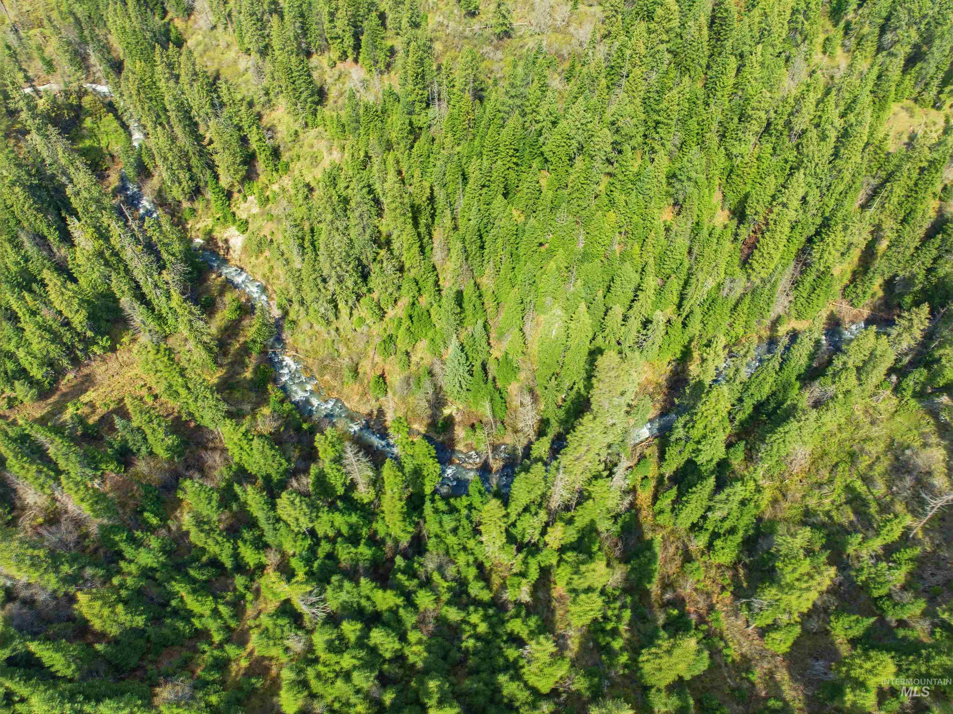 TBD Eagle Crest Dr, Orofino, Idaho 83544, Land For Sale, Price $225,000, 98983314