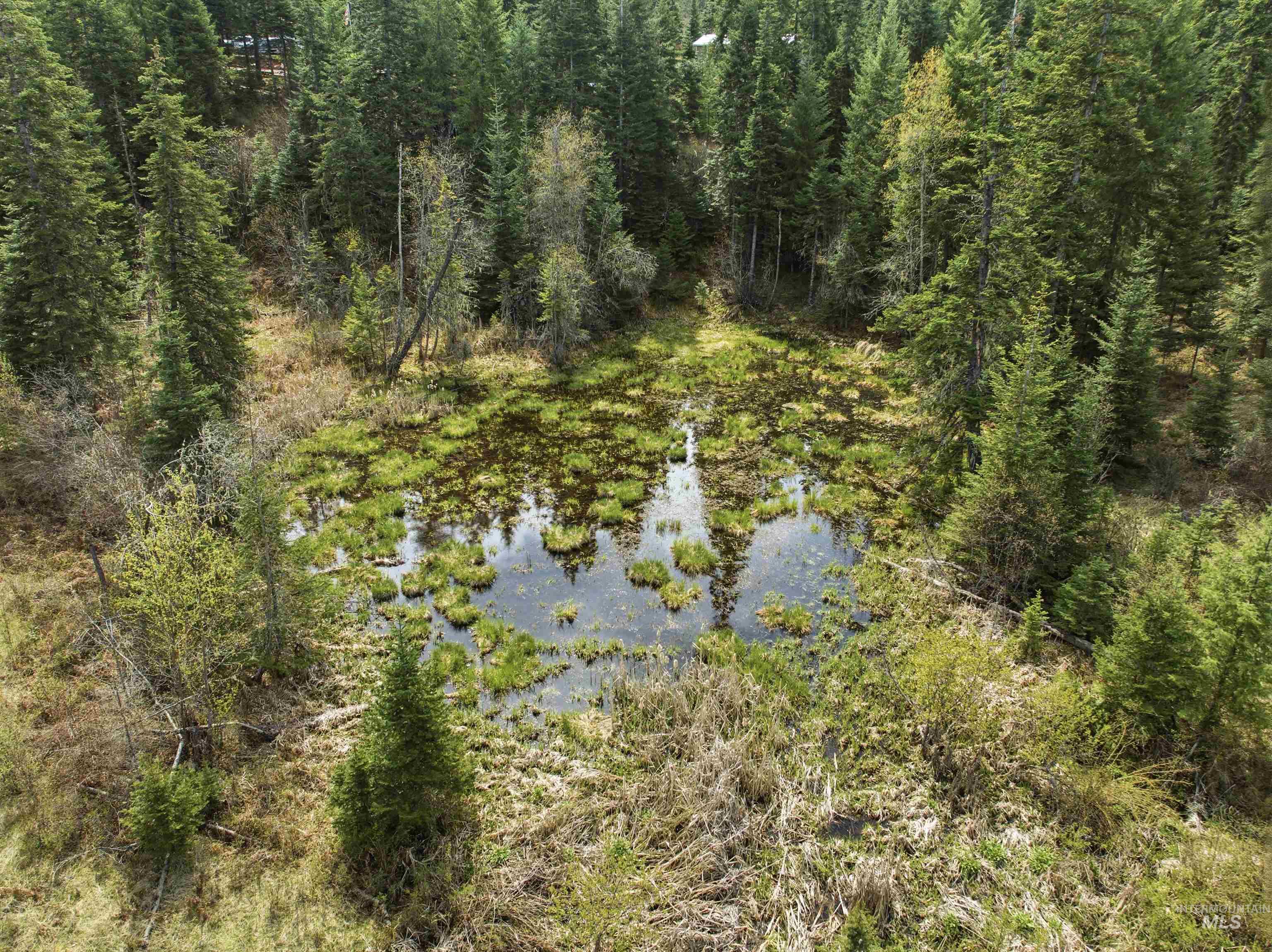 TBD Eagle Crest Dr, Orofino, Idaho 83544, Land For Sale, Price $225,000, 98983314