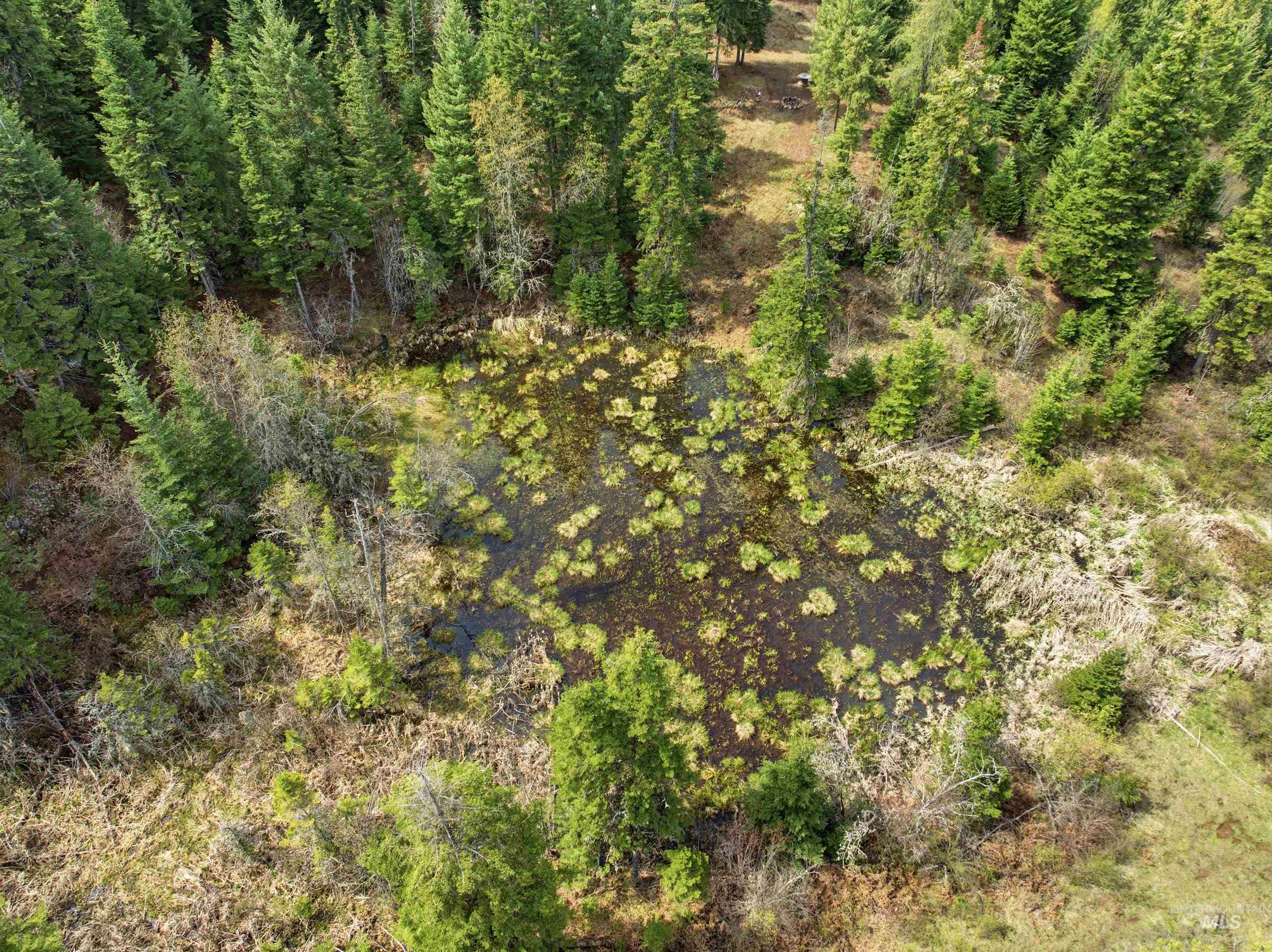 TBD Eagle Crest Dr, Orofino, Idaho 83544, Land For Sale, Price $225,000, 98983314