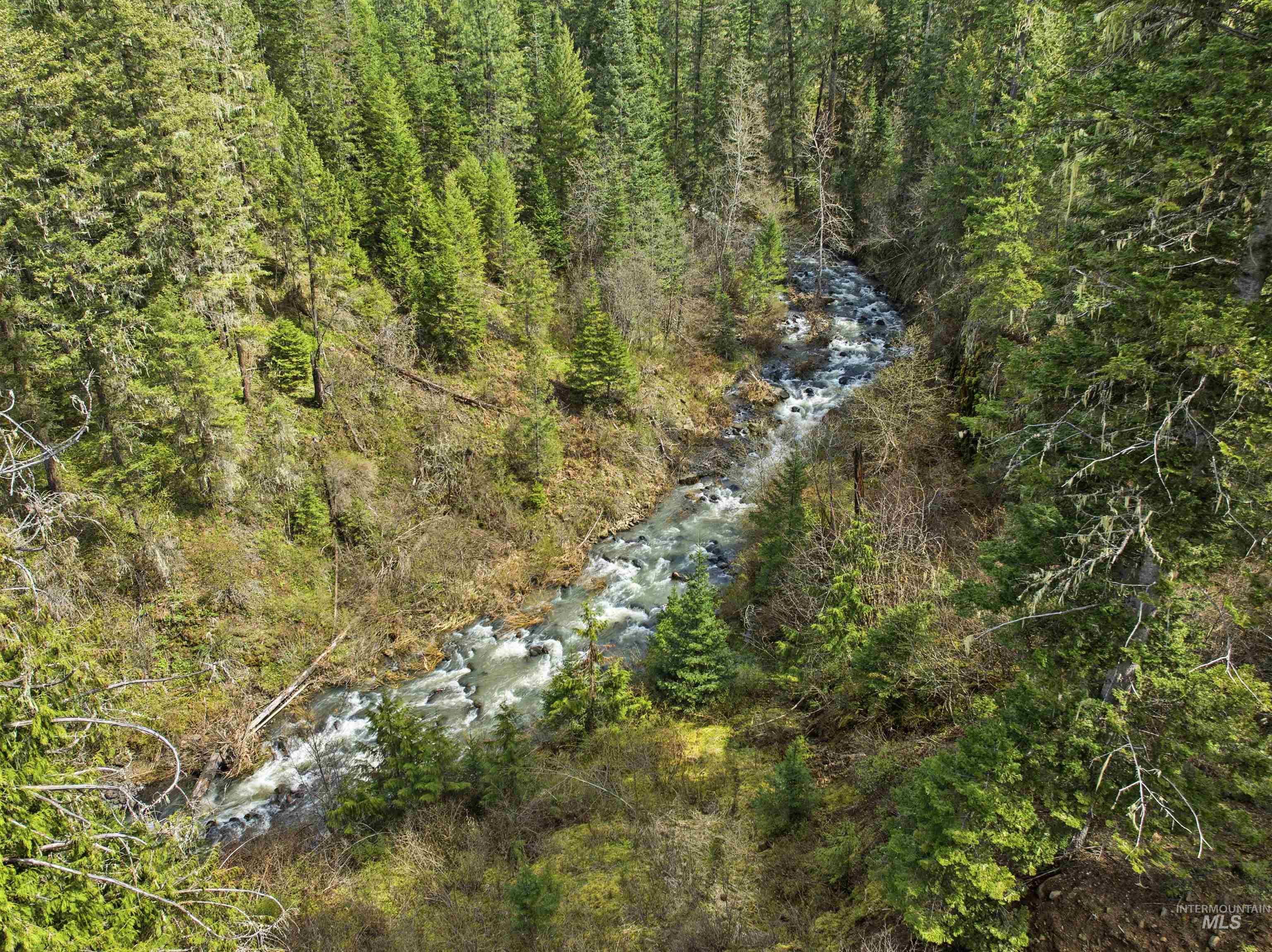 TBD Eagle Crest Dr, Orofino, Idaho 83544, Land For Sale, Price $225,000, 98983314