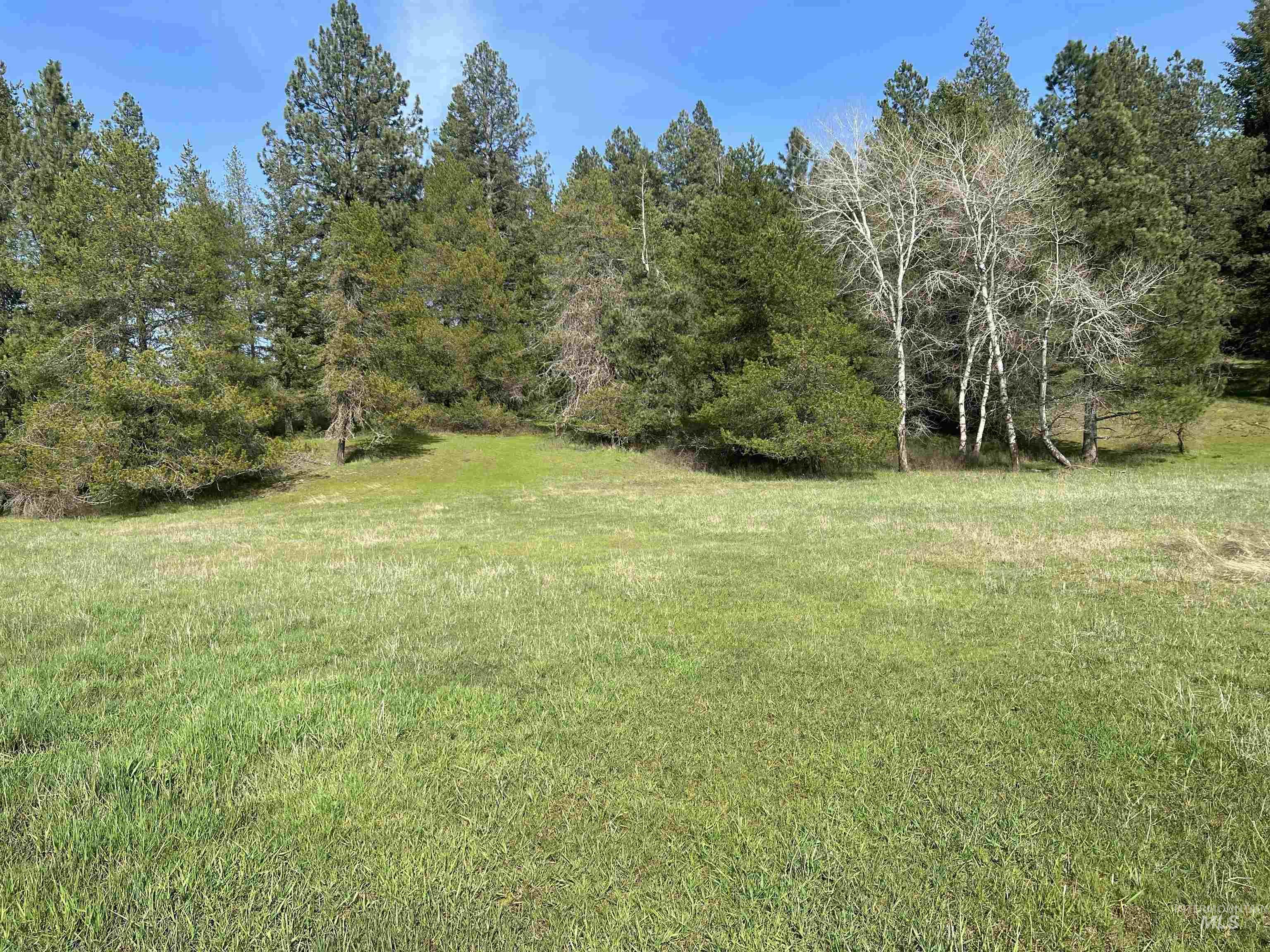 1462 Deep Creek Rd, Potlatch, Idaho 83855, Land For Sale, Price $549,000, 98983365