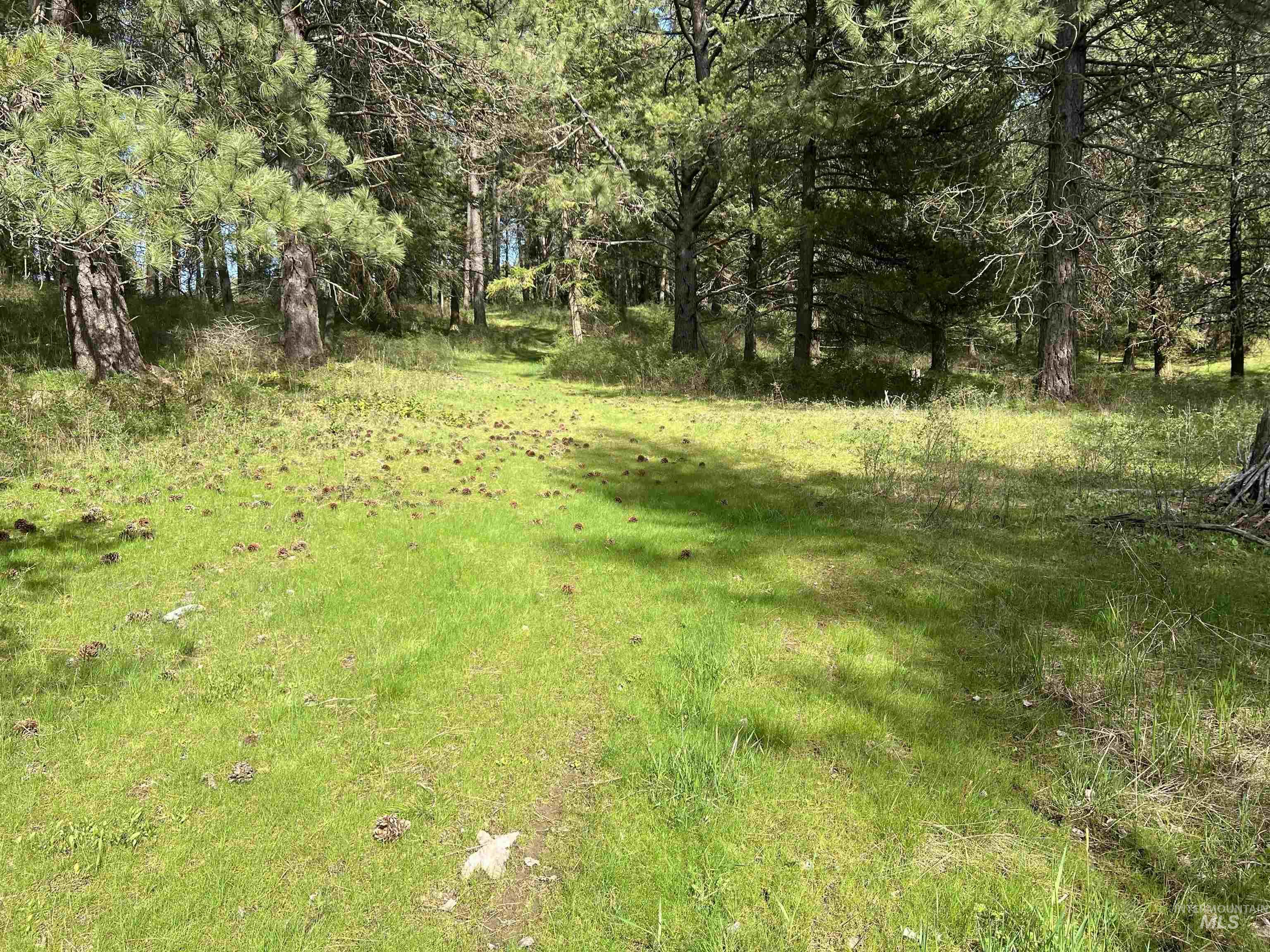 1462 Deep Creek Rd, Potlatch, Idaho 83855, Land For Sale, Price $549,000, 98983365