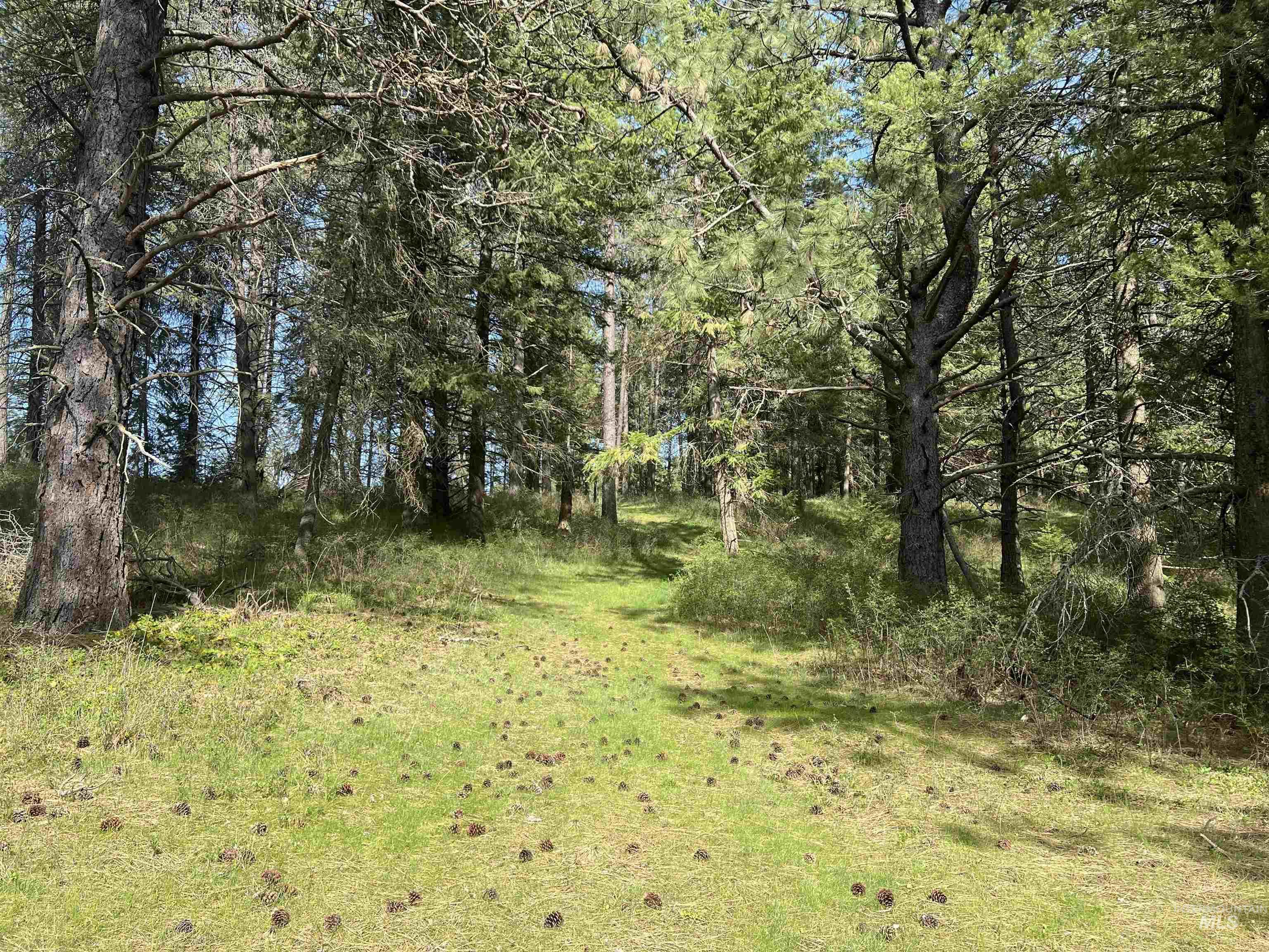 1462 Deep Creek Rd, Potlatch, Idaho 83855, Land For Sale, Price $549,000, 98983365