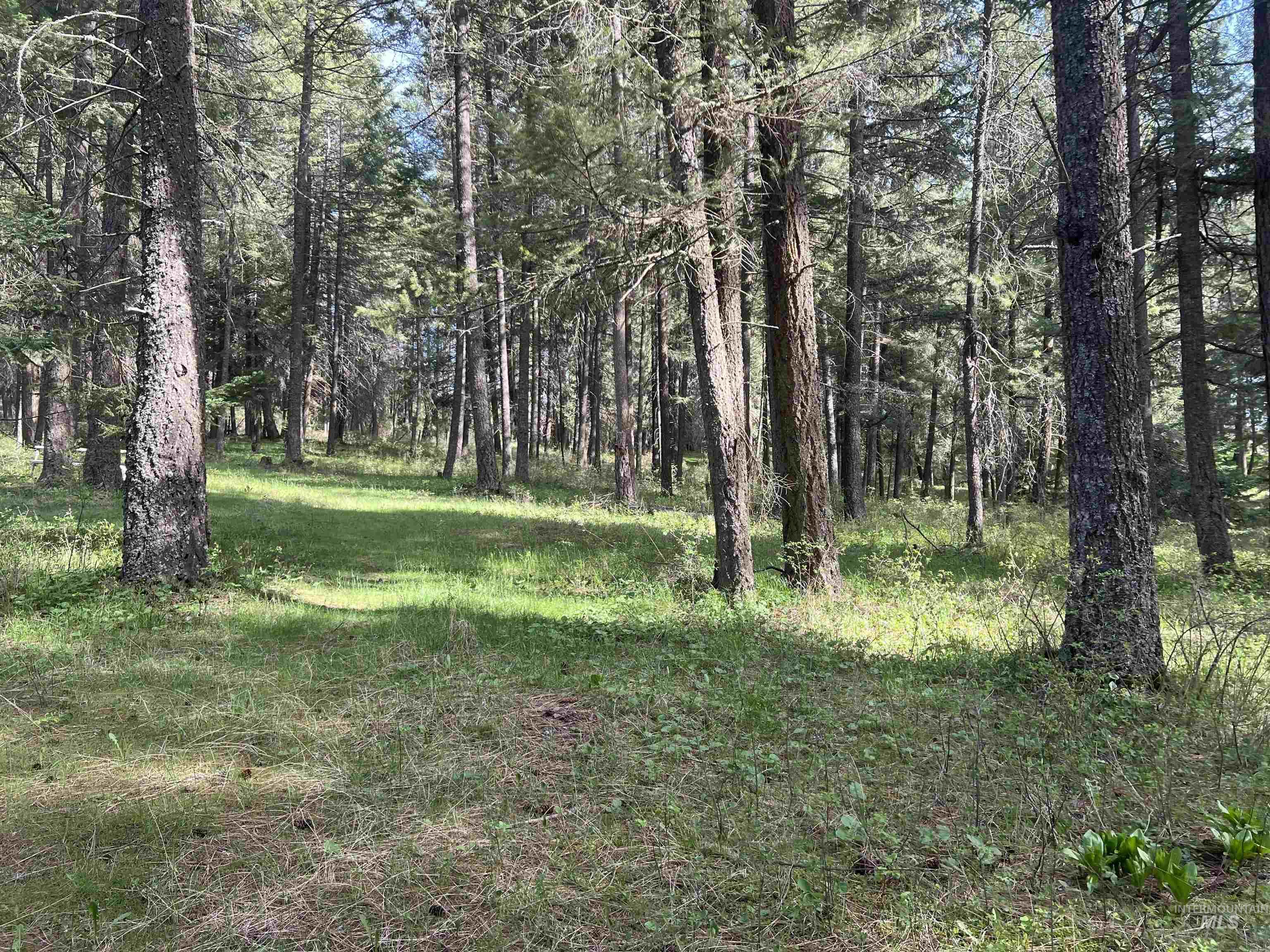 1462 Deep Creek Rd, Potlatch, Idaho 83855, Land For Sale, Price $549,000, 98983365