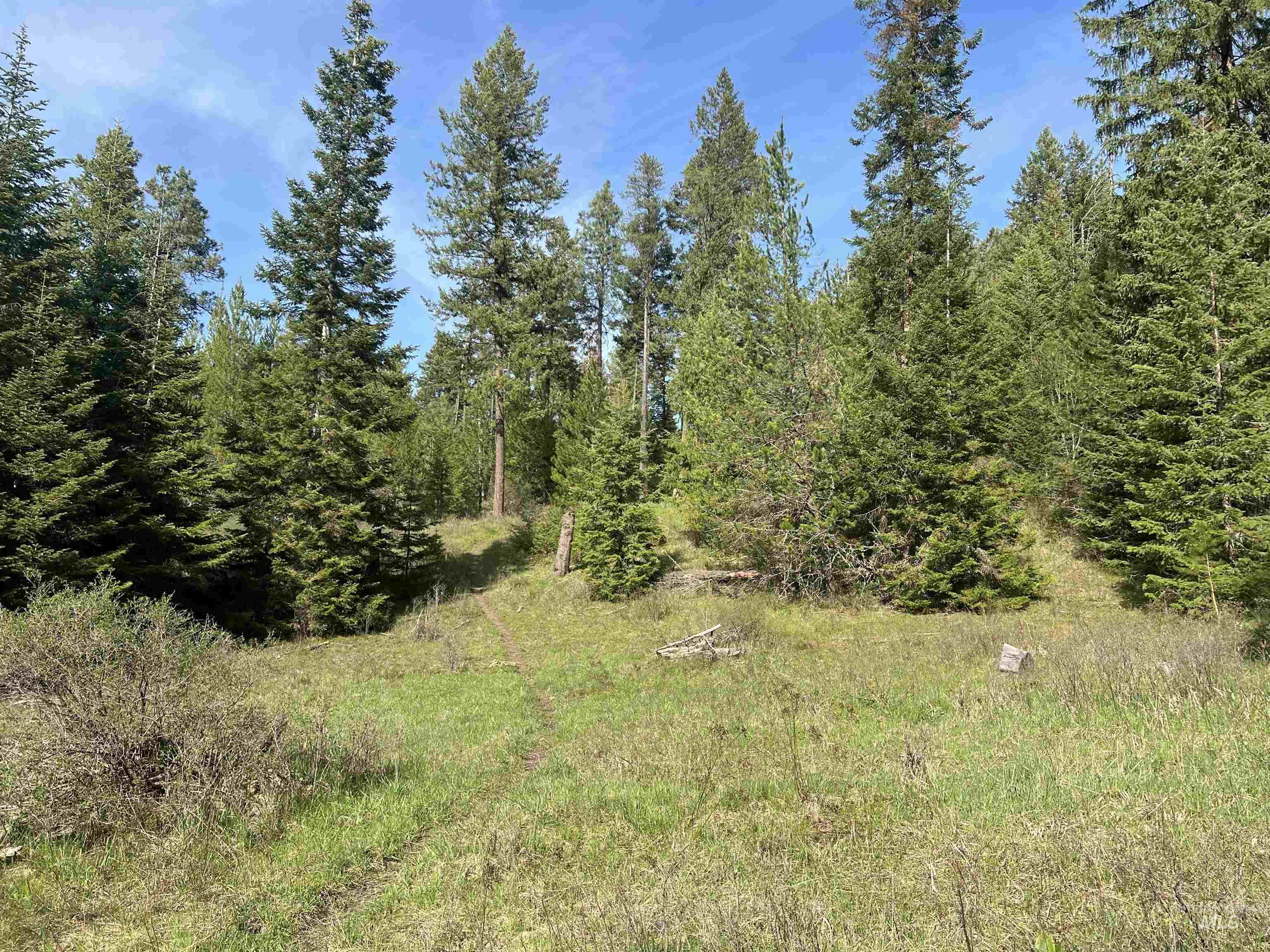 1462 Deep Creek Rd, Potlatch, Idaho 83855, Land For Sale, Price $549,000, 98983365