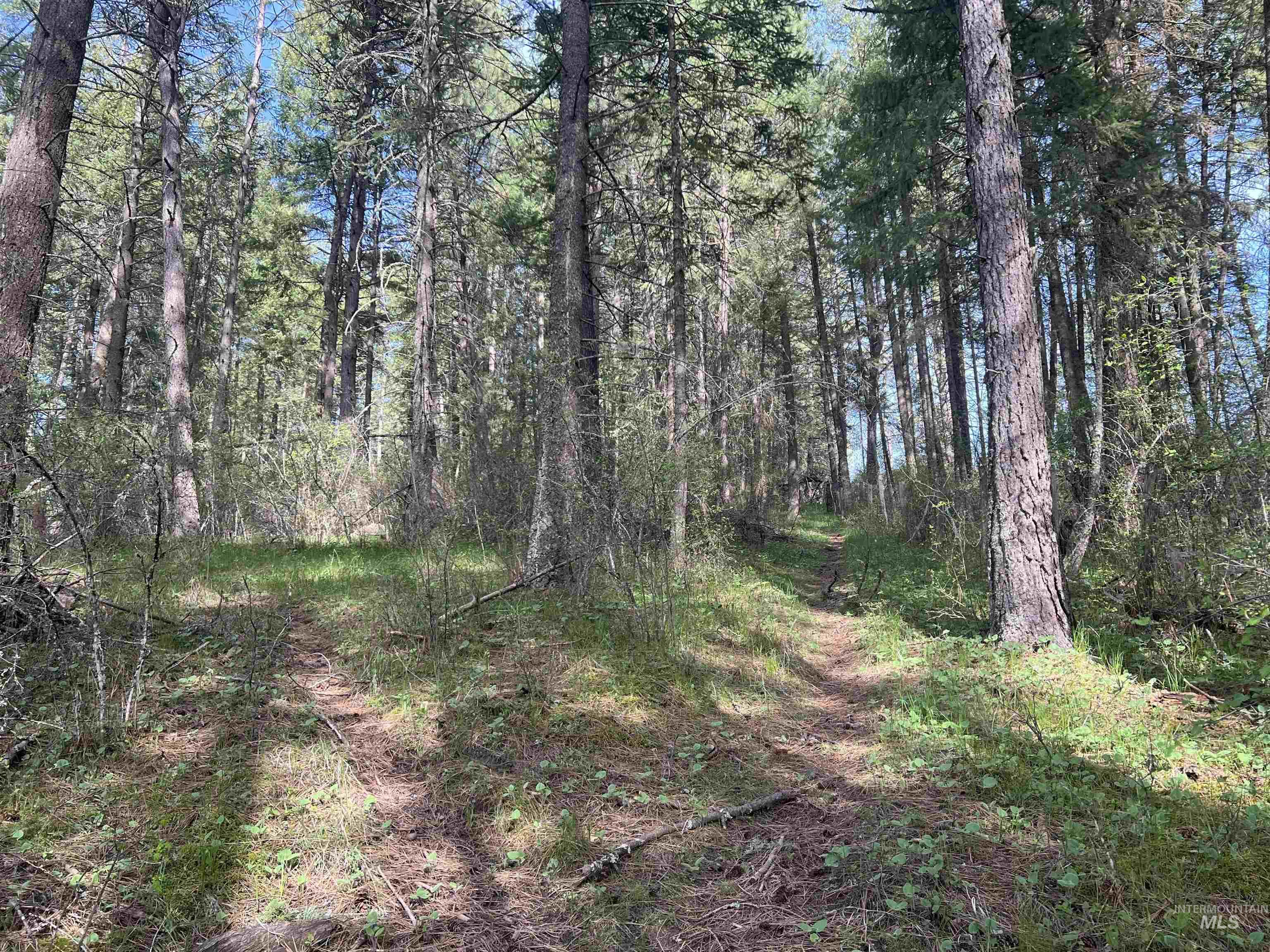 1462 Deep Creek Rd, Potlatch, Idaho 83855, Land For Sale, Price $549,000, 98983365