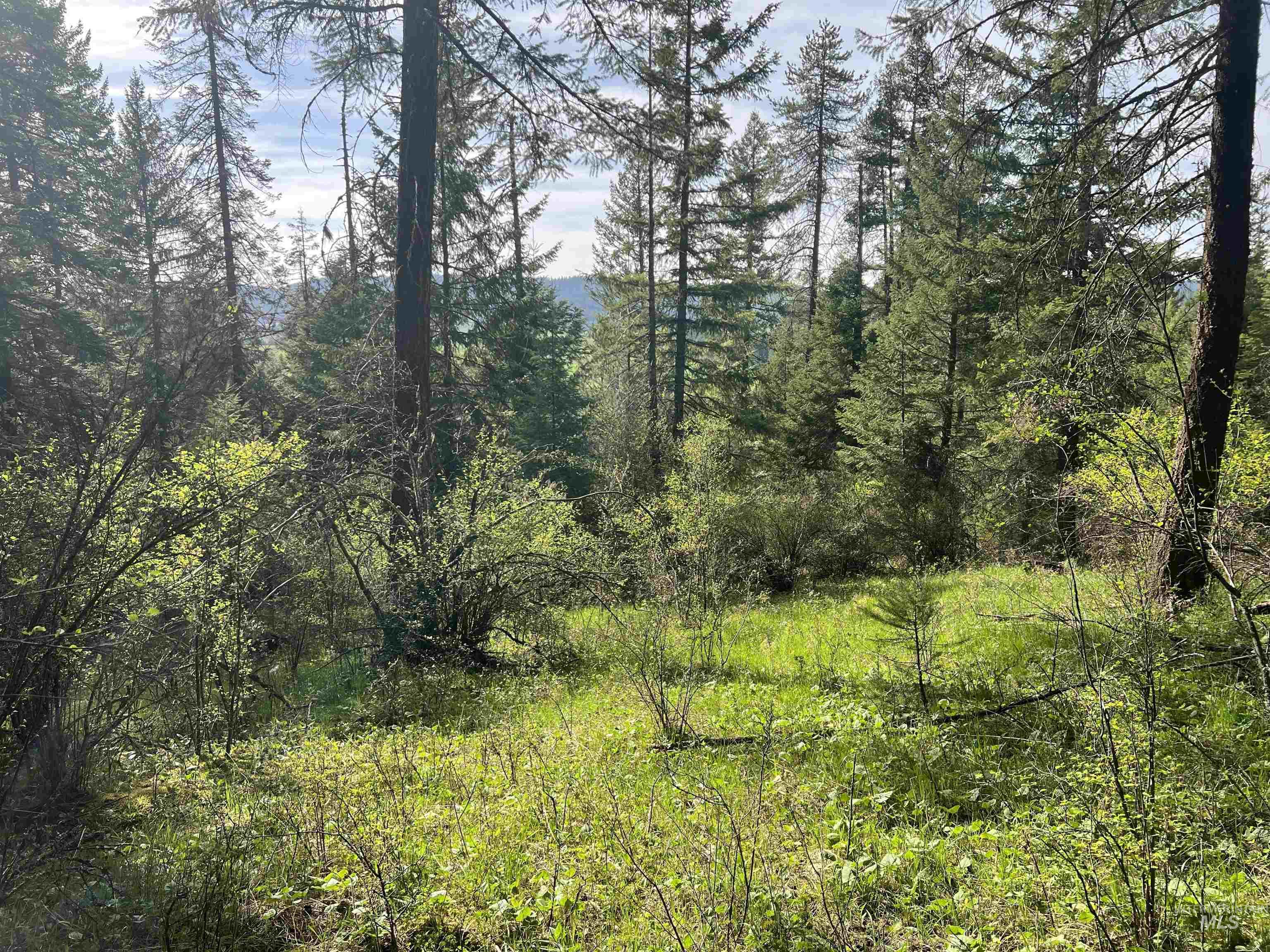 1462 Deep Creek Rd, Potlatch, Idaho 83855, Land For Sale, Price $549,000, 98983365