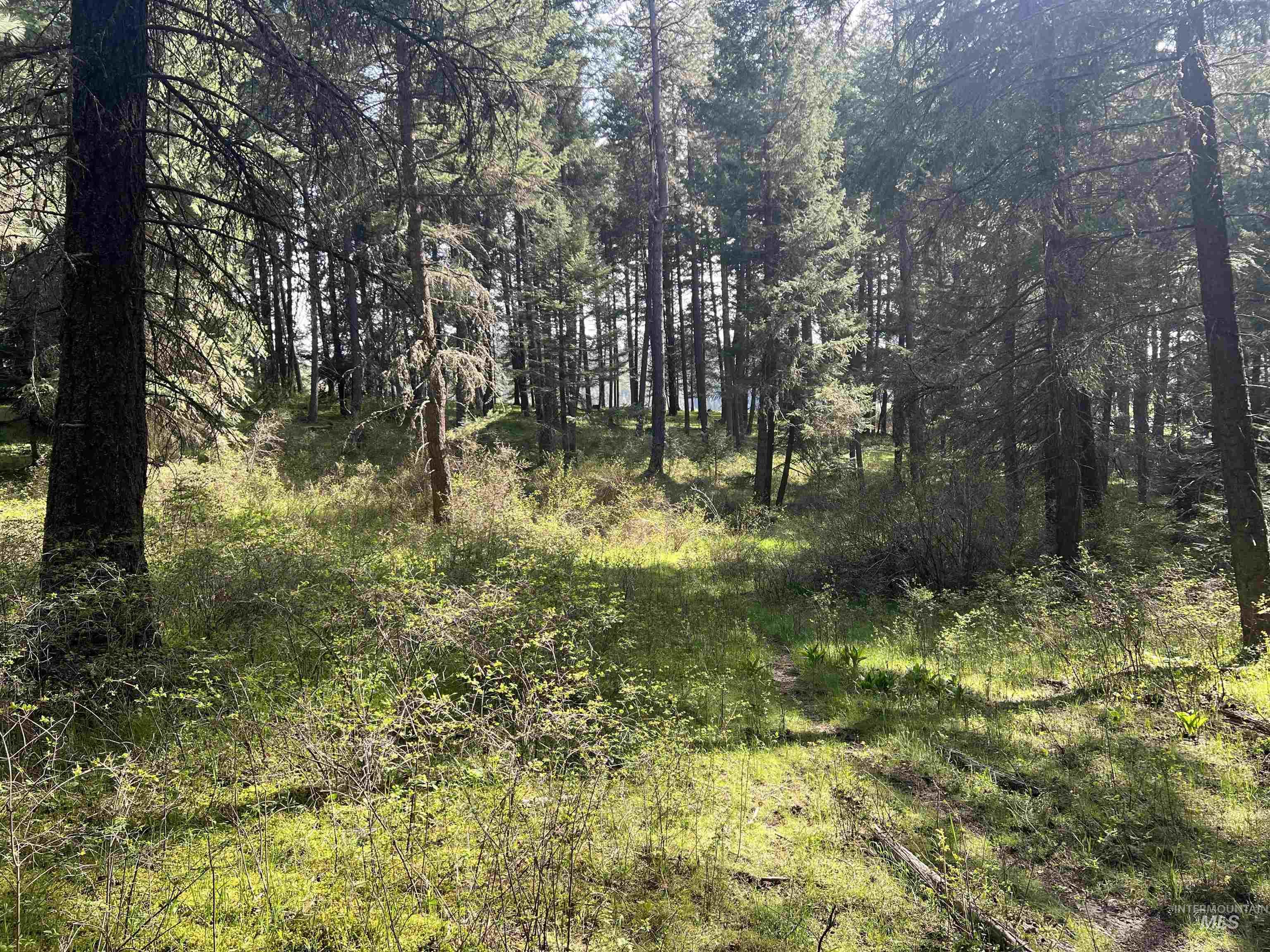 1462 Deep Creek Rd, Potlatch, Idaho 83855, Land For Sale, Price $549,000, 98983365