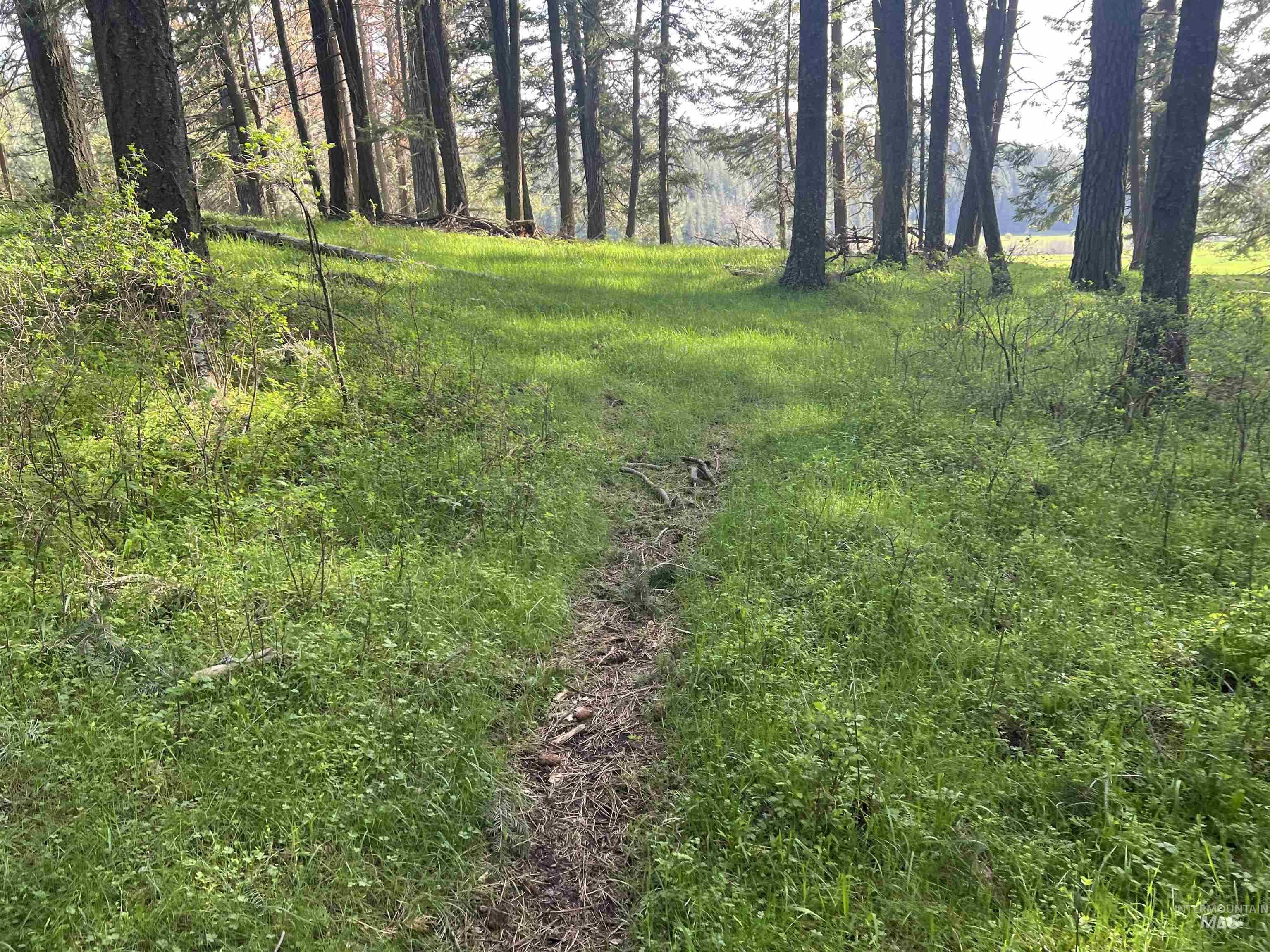 1462 Deep Creek Rd, Potlatch, Idaho 83855, Land For Sale, Price $549,000, 98983365