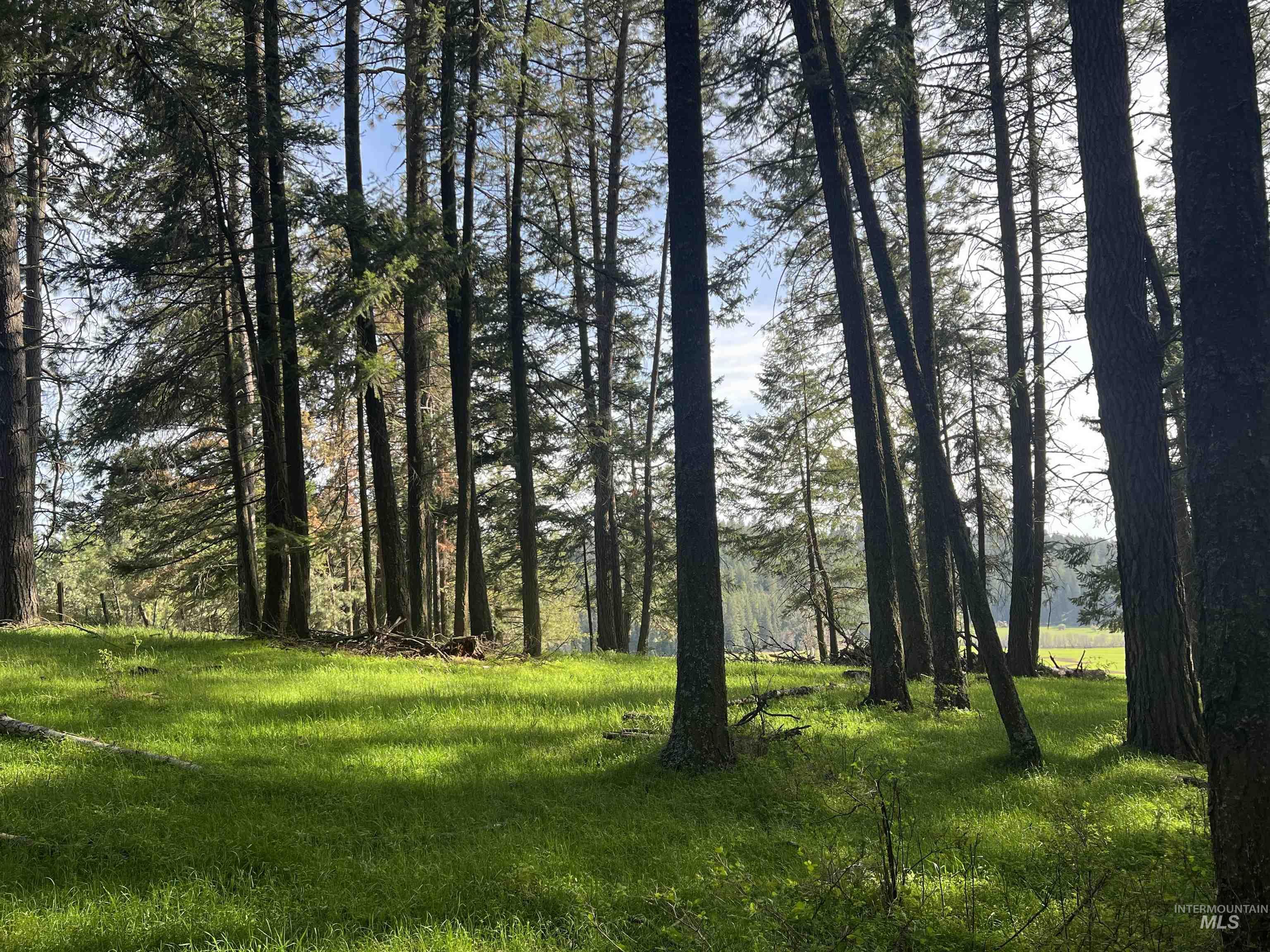 1462 Deep Creek Rd, Potlatch, Idaho 83855, Land For Sale, Price $549,000, 98983365