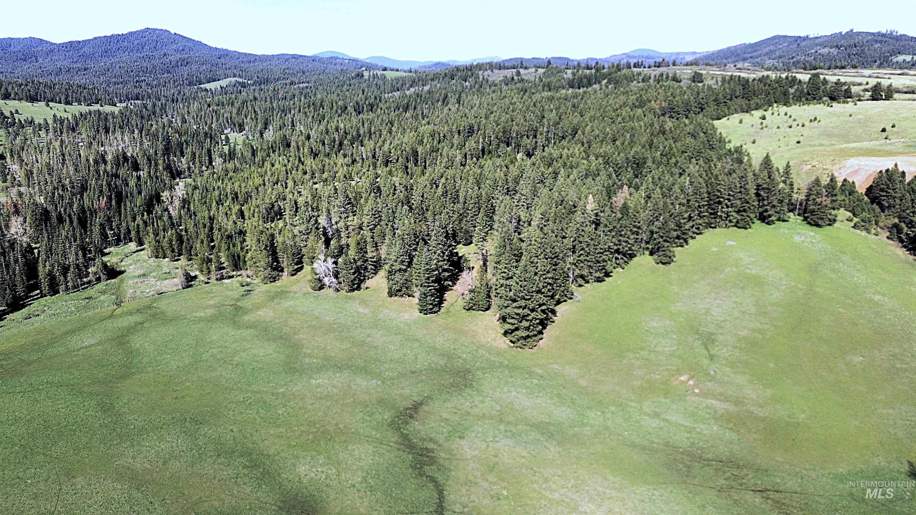 1462 Deep Creek Rd, Potlatch, Idaho 83855, Land For Sale, Price $549,000, 98983365