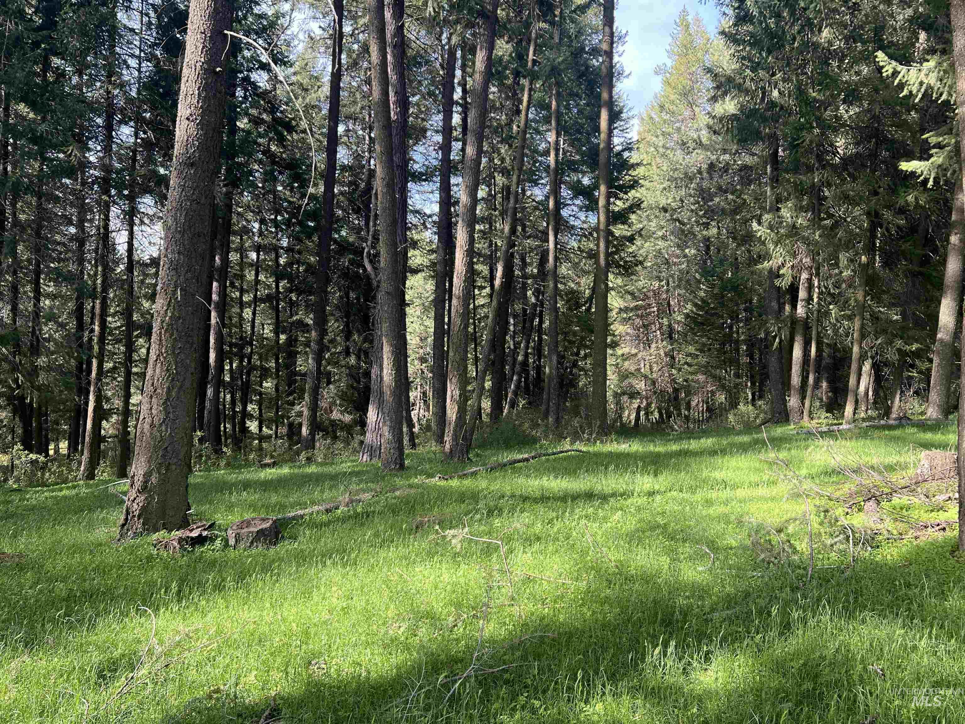 1462 Deep Creek Rd, Potlatch, Idaho 83855, Land For Sale, Price $549,000, 98983365