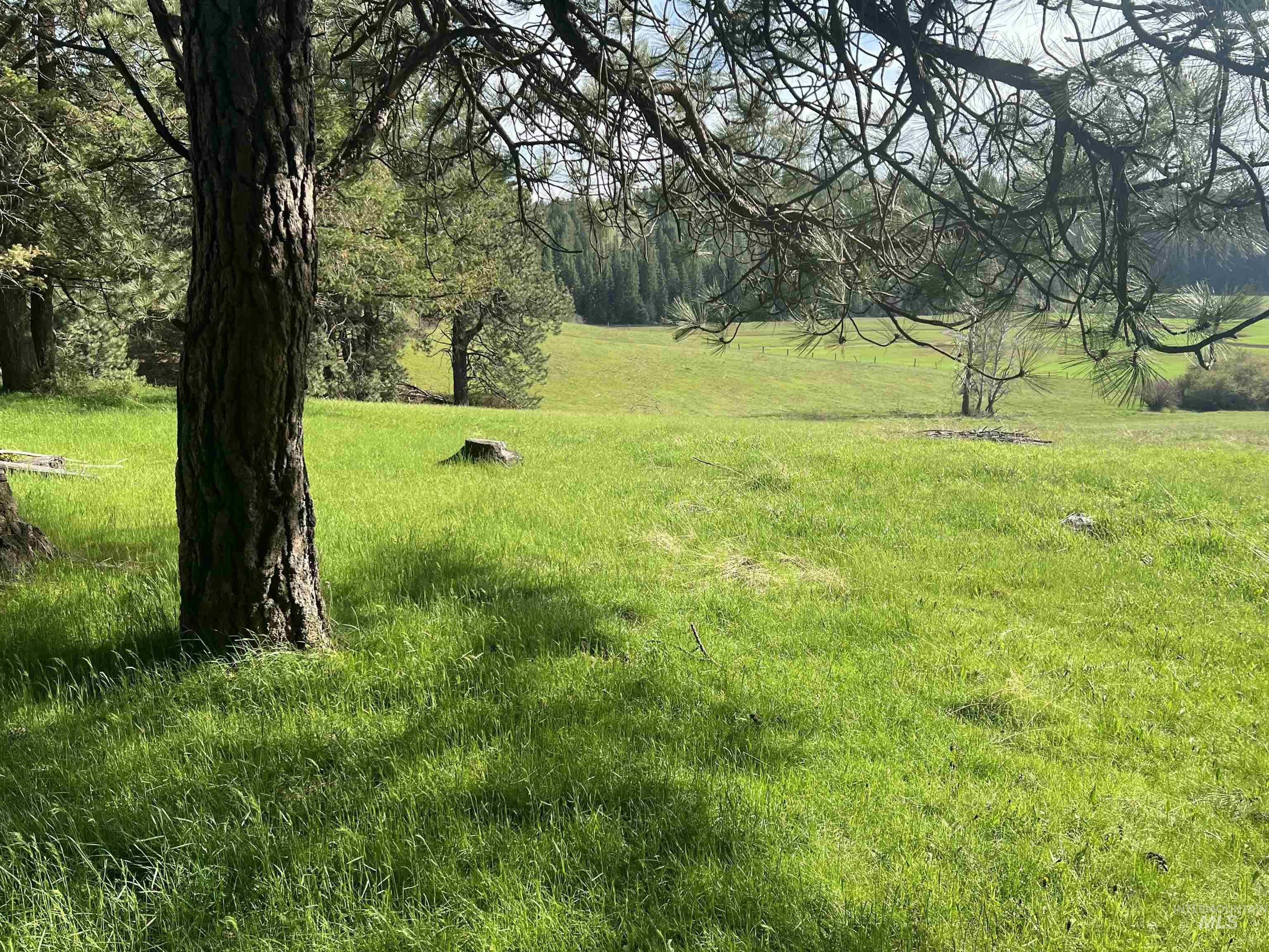 1462 Deep Creek Rd, Potlatch, Idaho 83855, Land For Sale, Price $549,000, 98983365